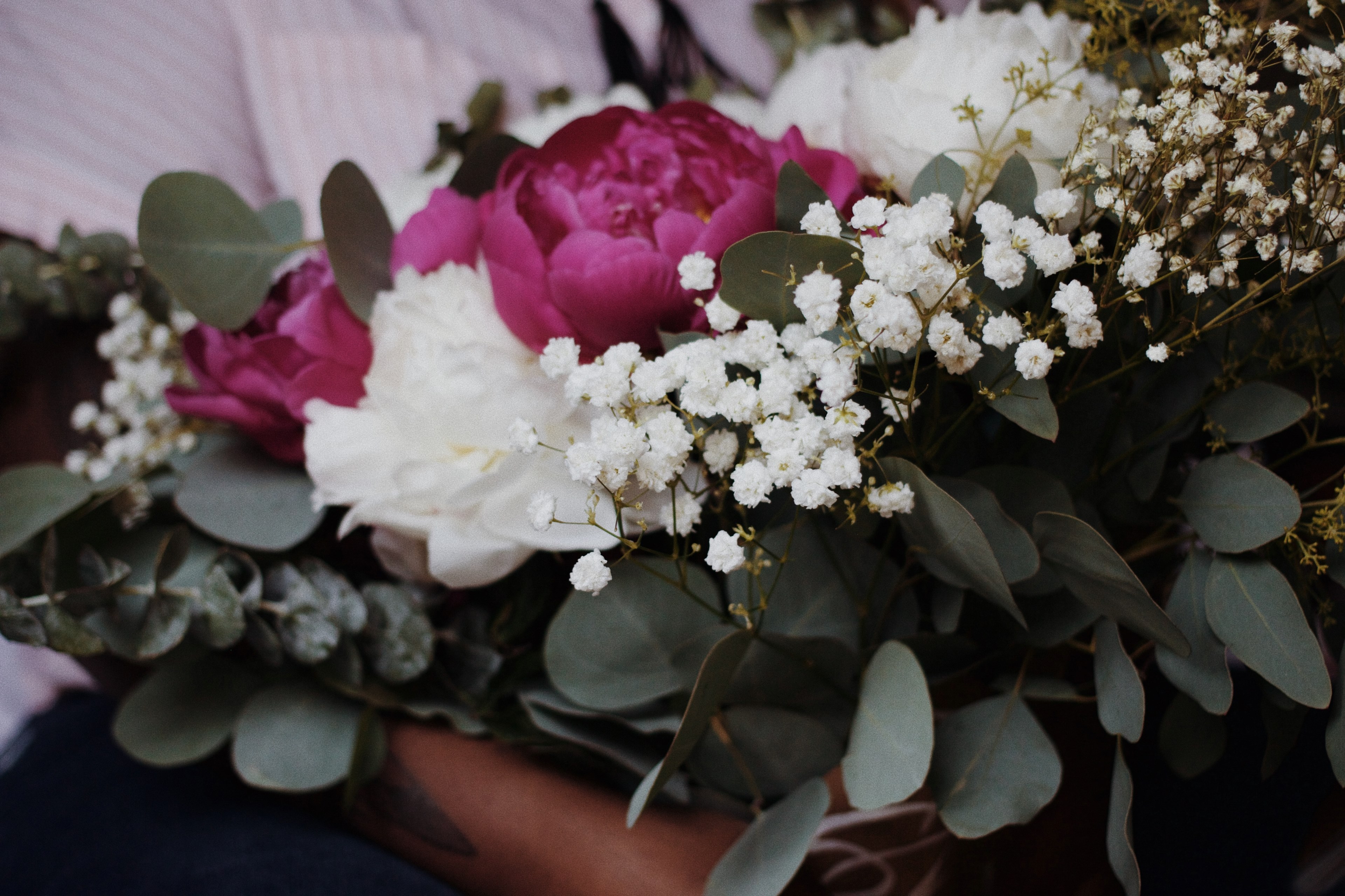 peony white pink and green 4k, HD Wallpaper