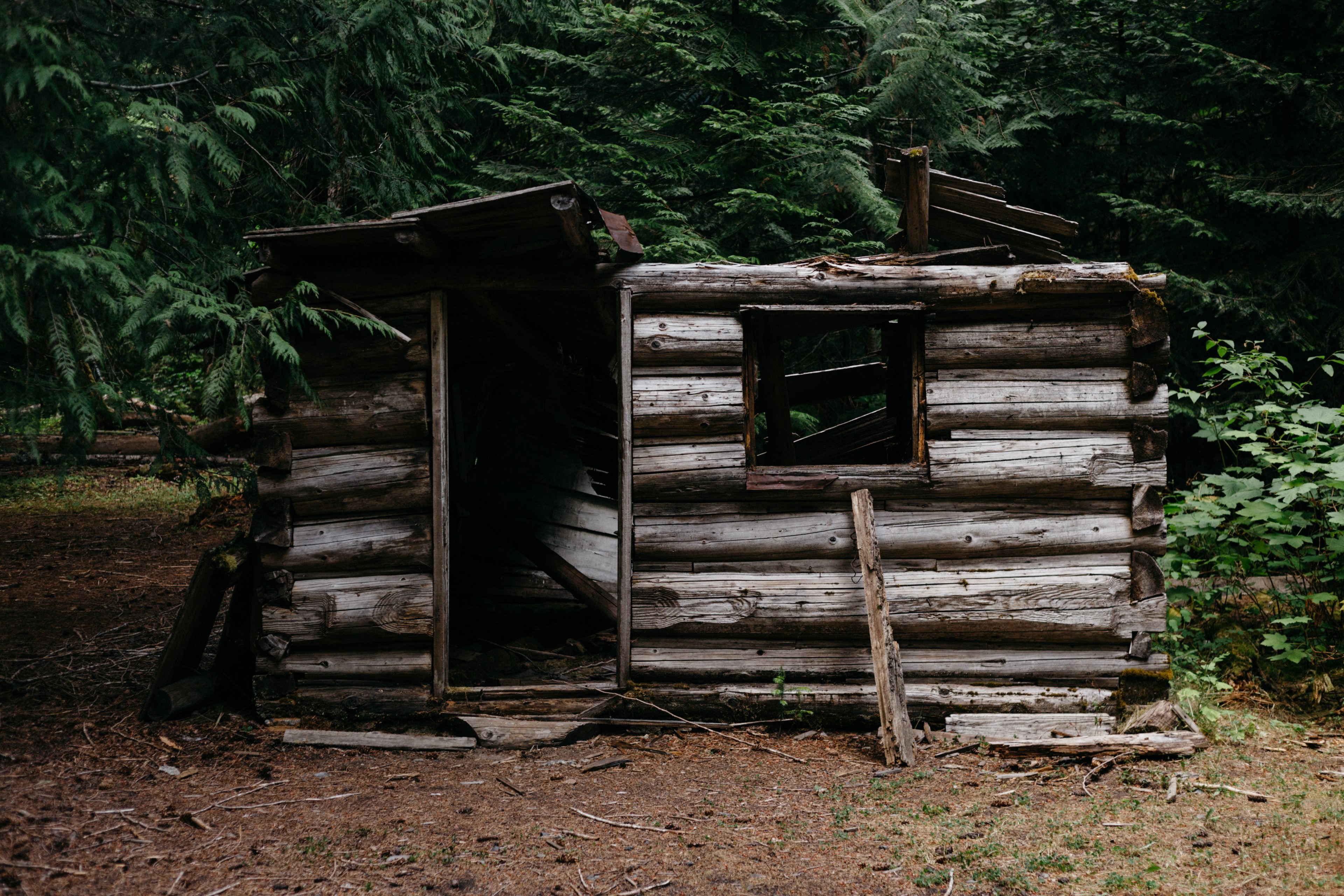 a wood cabin that is falling apart in the forest in cascade range, cascade range cabin 4k, HD Wallpaper