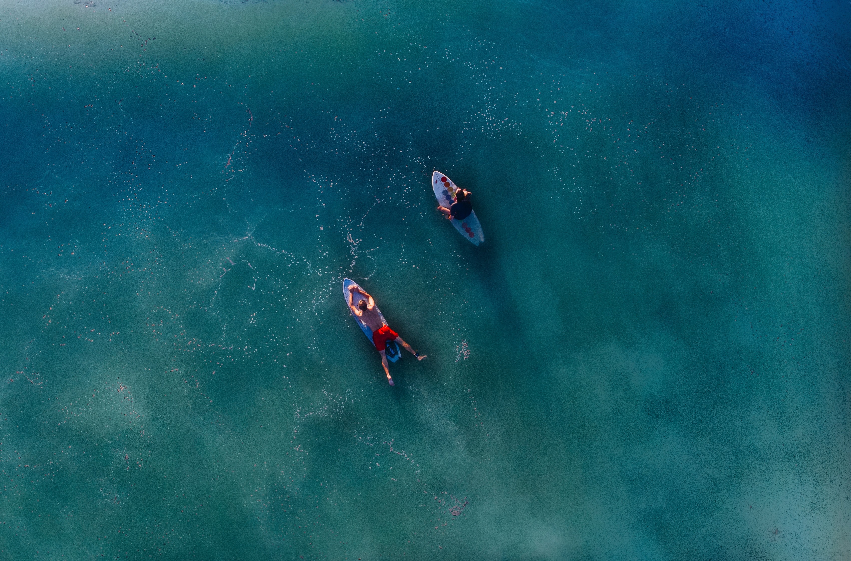 two surfers on their boards in the calm sea shot overhead by drone, calm blue sea surfing 4k, HD Wallpaper