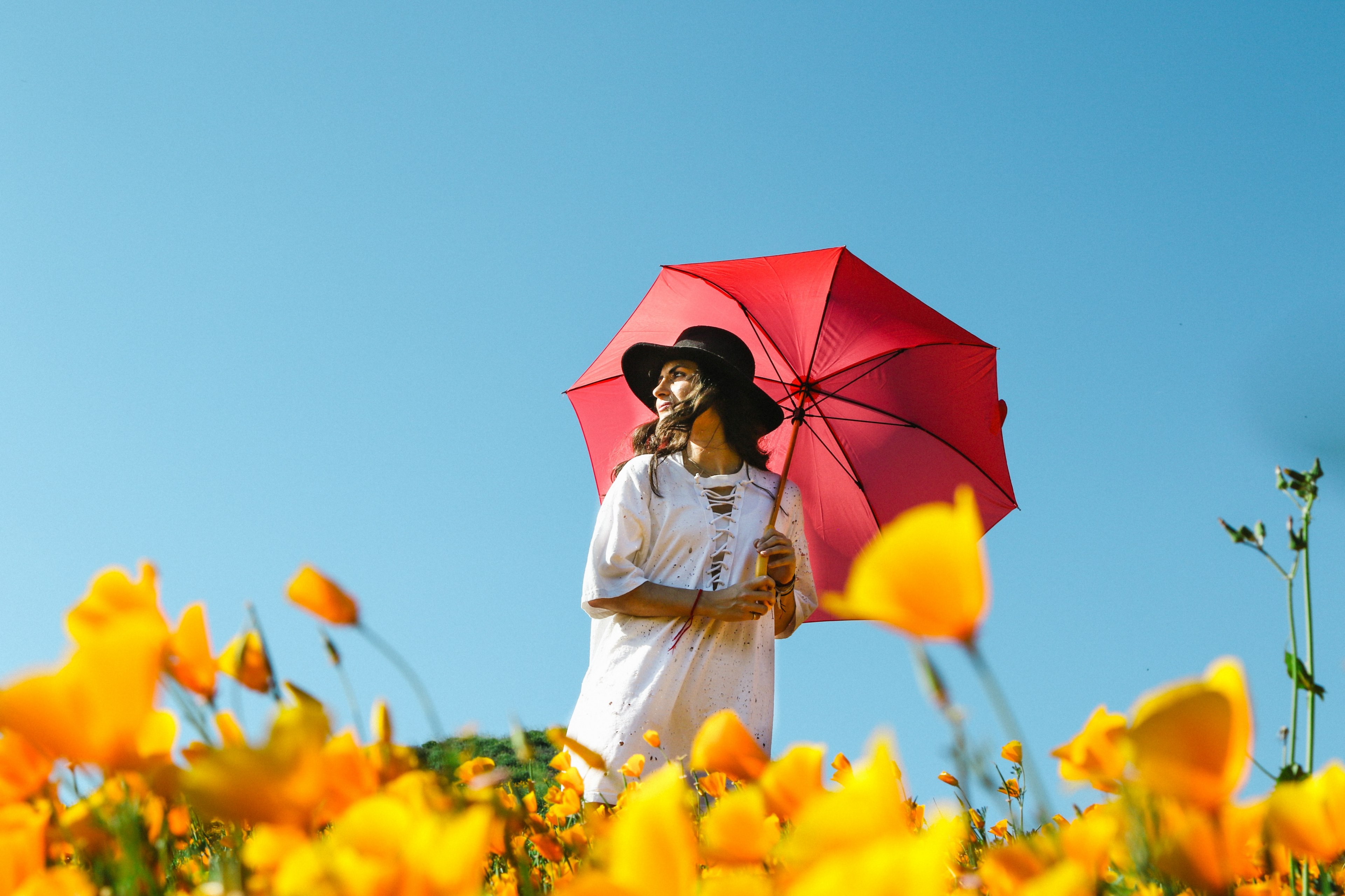 a woman with a red umbrella walking across a yellow meadow, red umbrella in yellow flowers 4k, HD Wallpaper