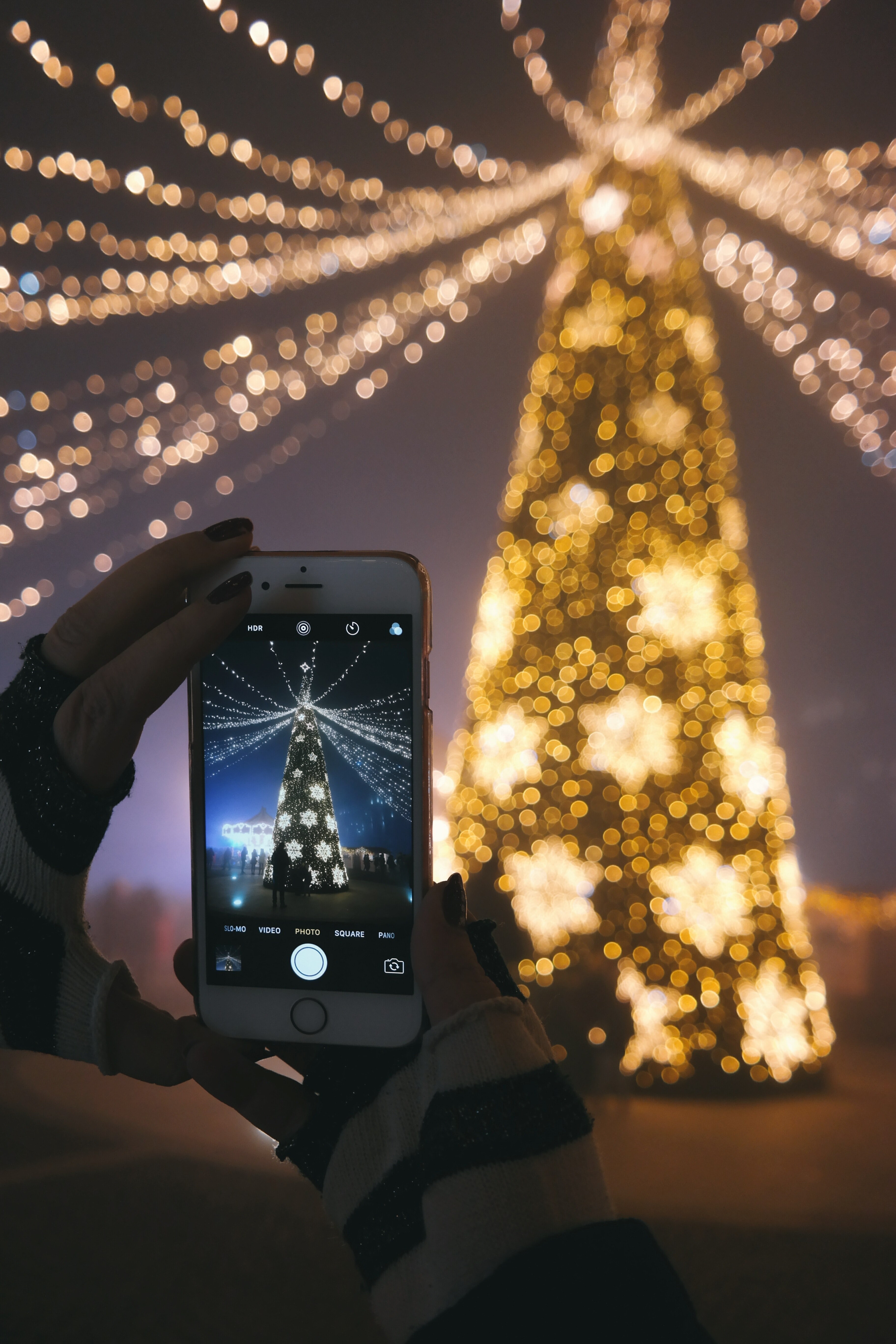 a person taking a picture of their christmas tree with their smartphone, _smartphone picture of tree 4k, Phone HD Wallpaper