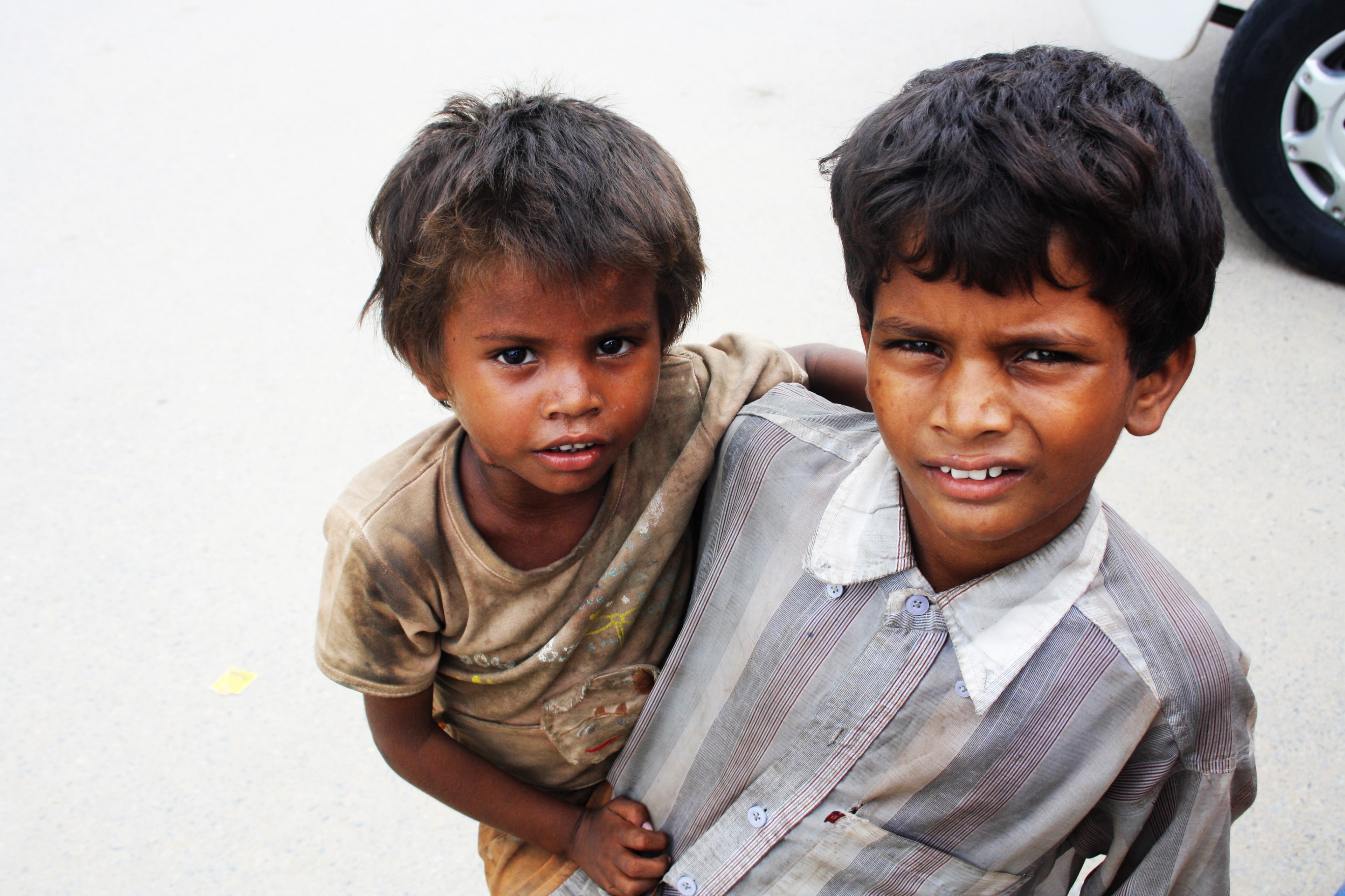 hungry eyes 4k, HD Wallpaper