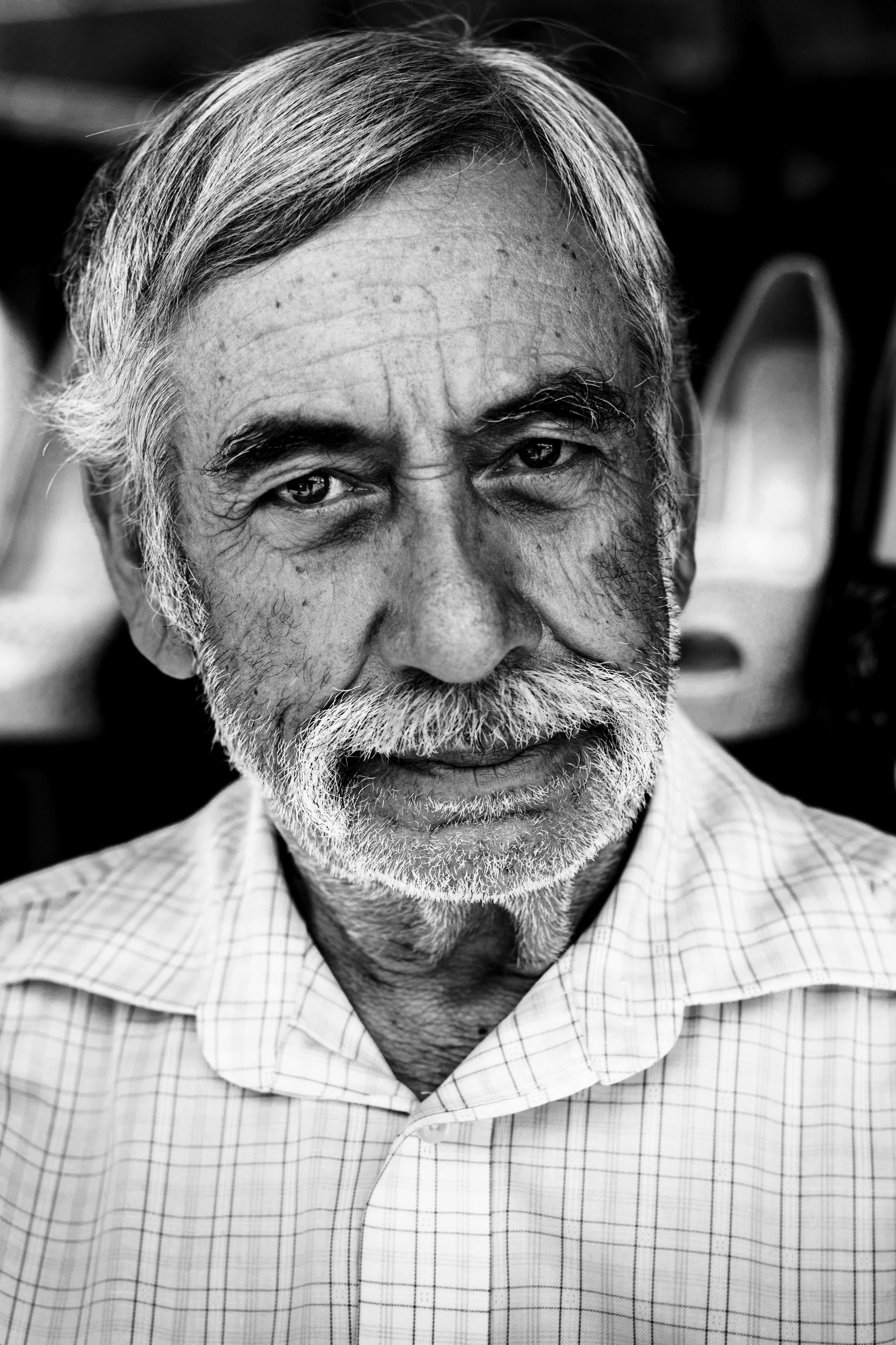 black and white close up shot of grey bearded older man with relaxed expression, la mirada del hombre 4k, Phone HD Wallpaper