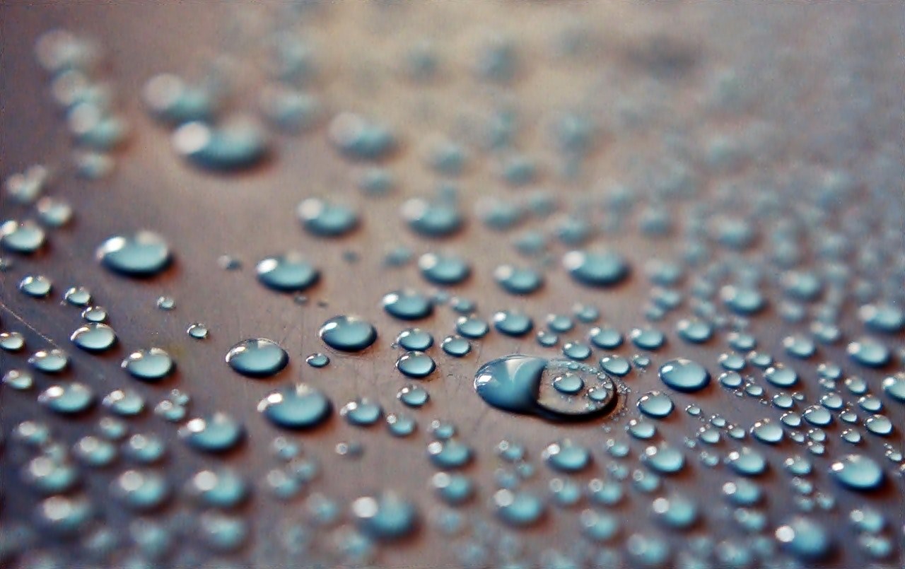water droplet drop and dew 4k, HD Wallpaper