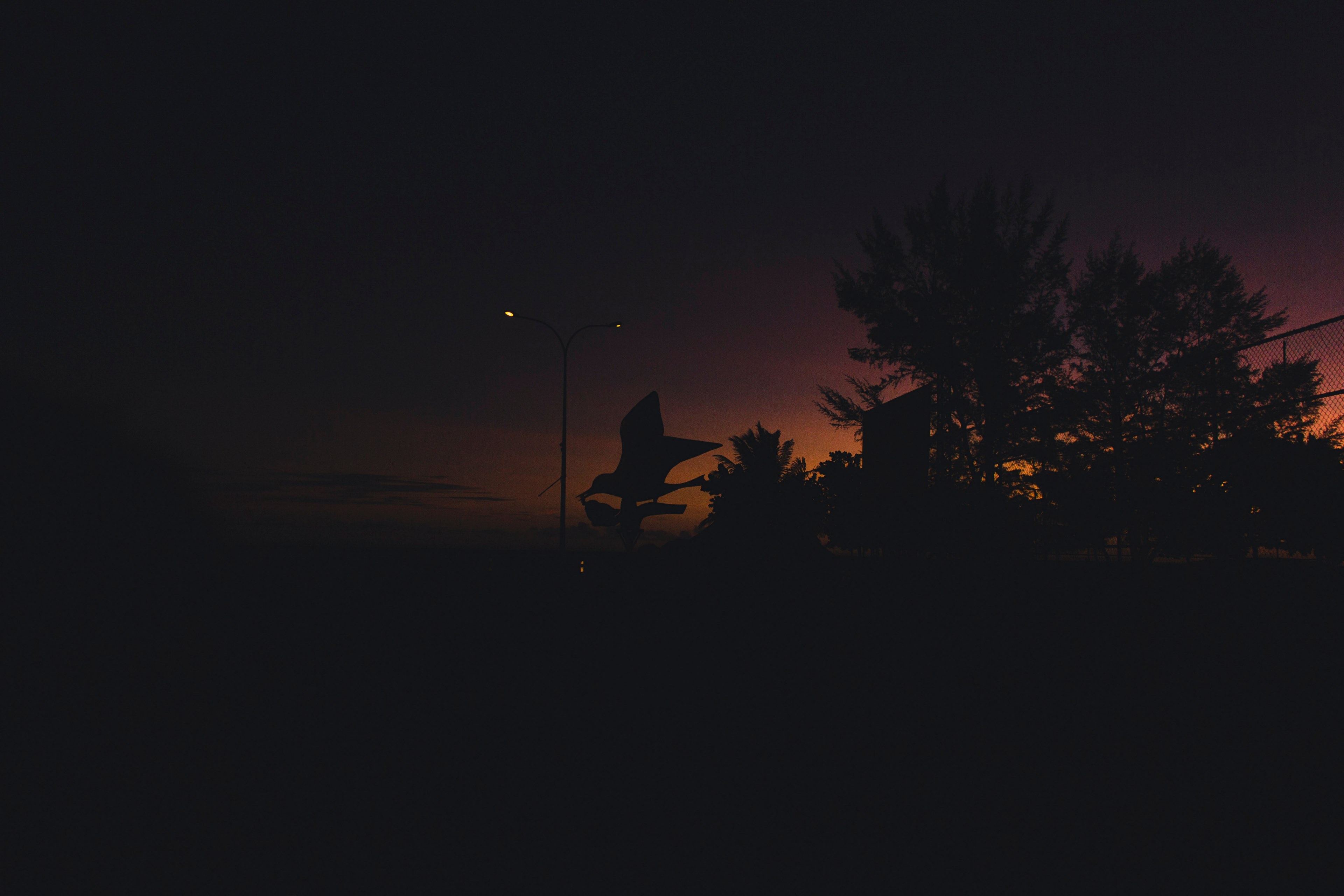 darkness in a park outside, _fading light 4k, HD Wallpaper