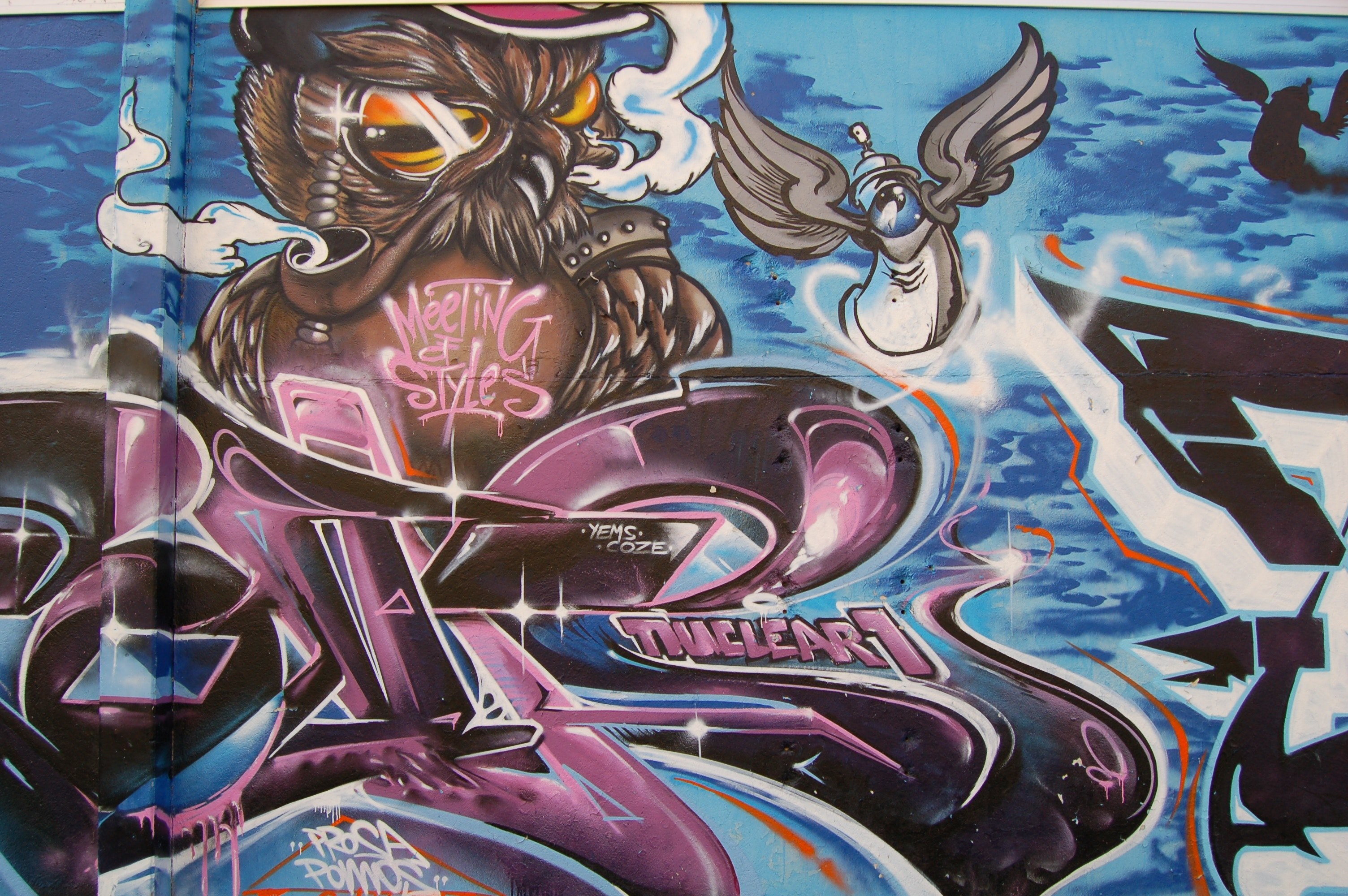 a mural painting of an angry owl, _owl wall mural 4k, HD Wallpaper