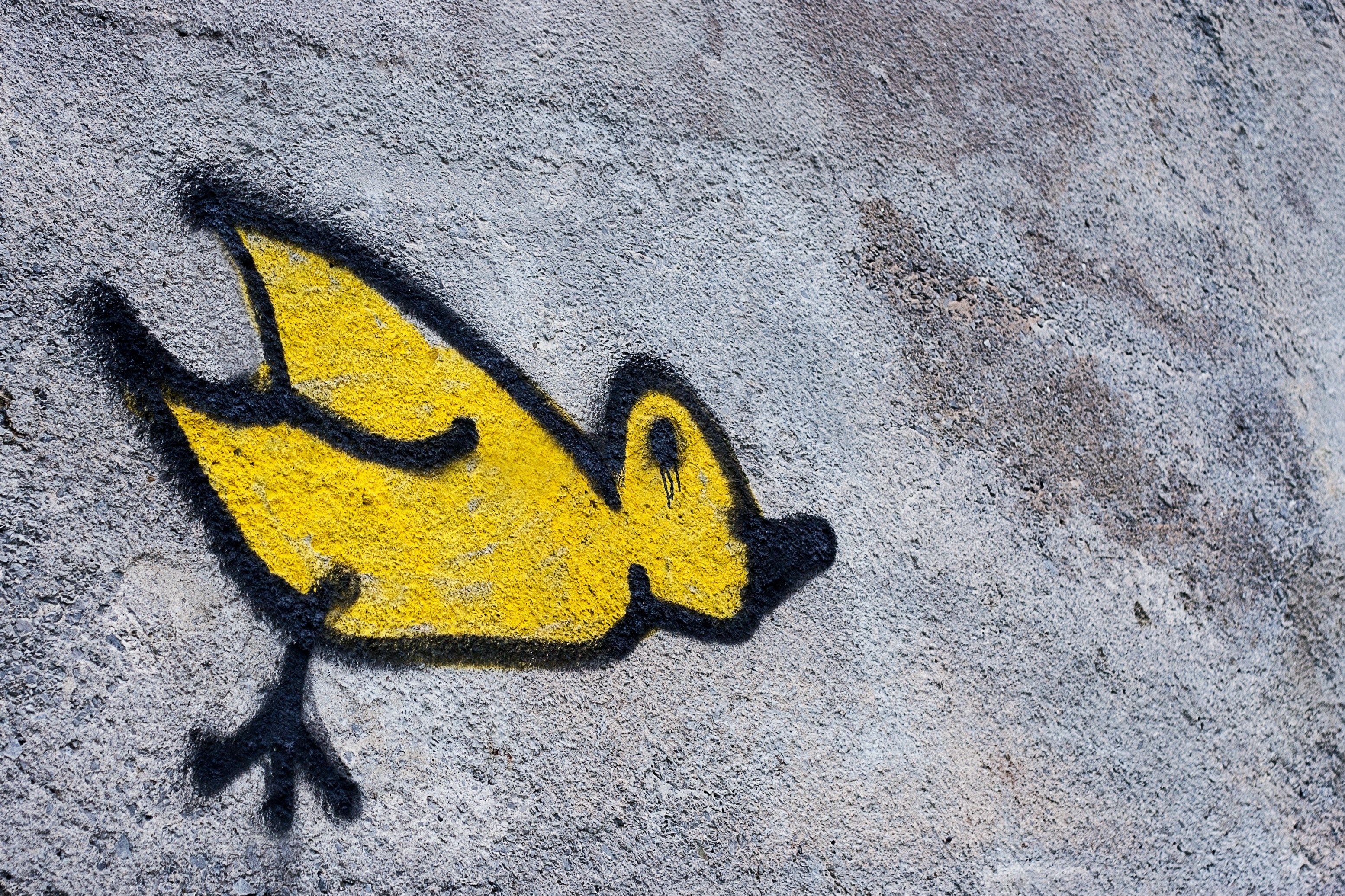 graffiti street art of lone yellow bird on gray textured wall in dublin, yellow bird painting 4k, HD Wallpaper