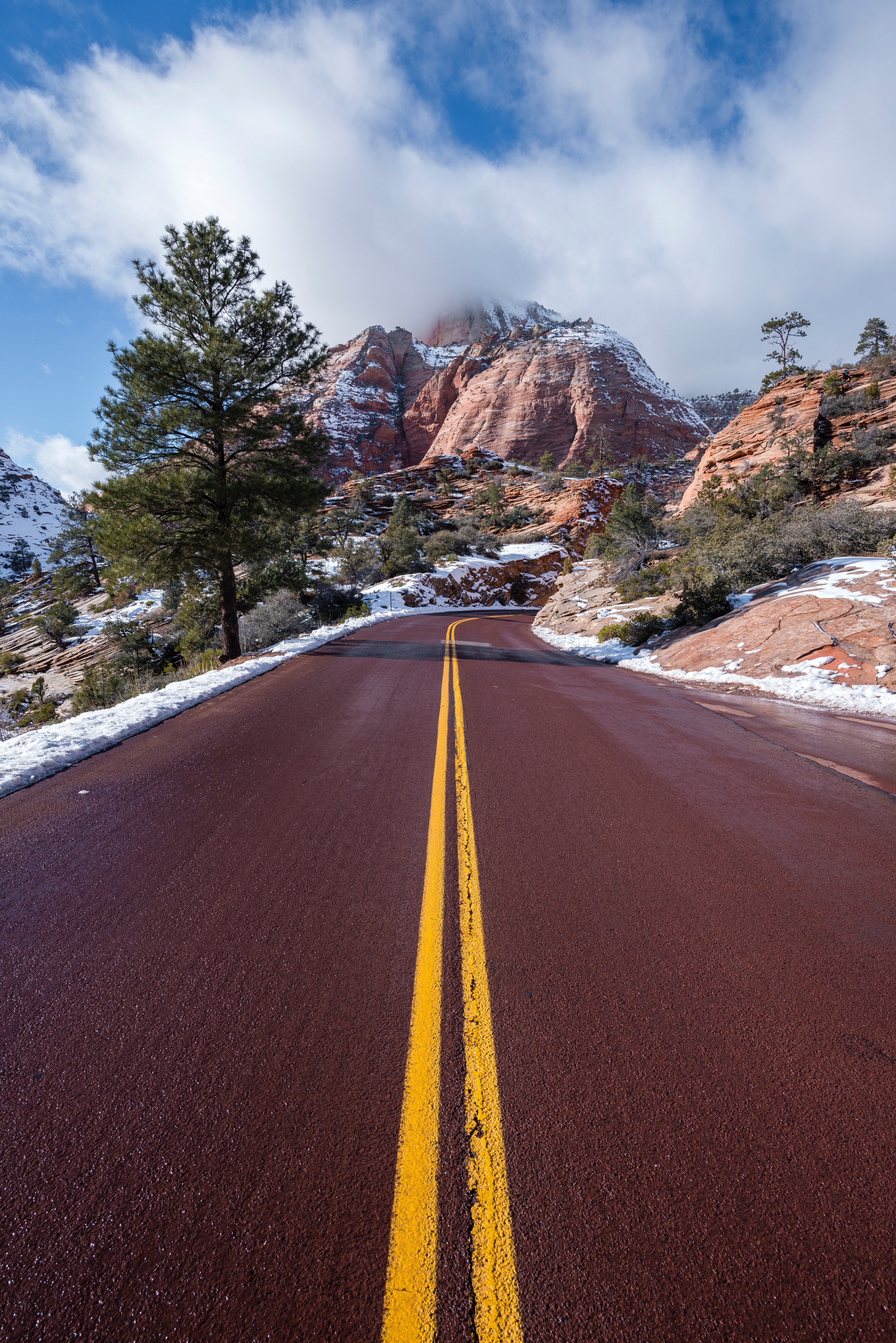 staring down a double sided yellow line on a country road, _road to zion 4k, Phone HD Wallpaper