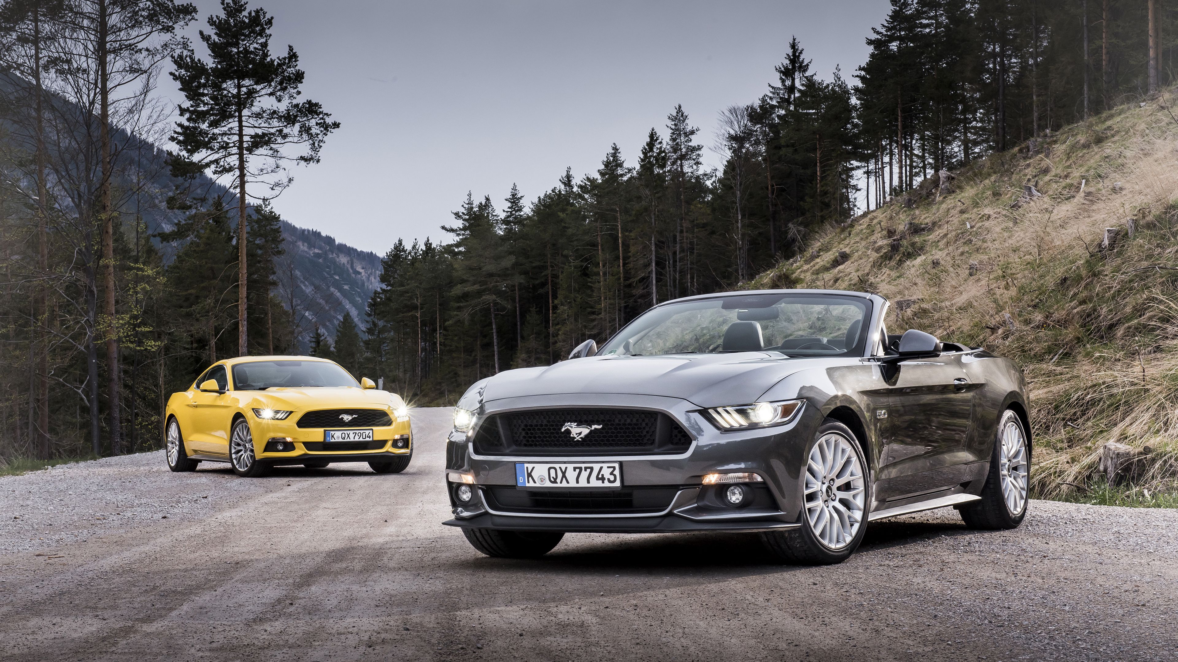 ford mustang, convertible, road, 4k, HD Wallpaper