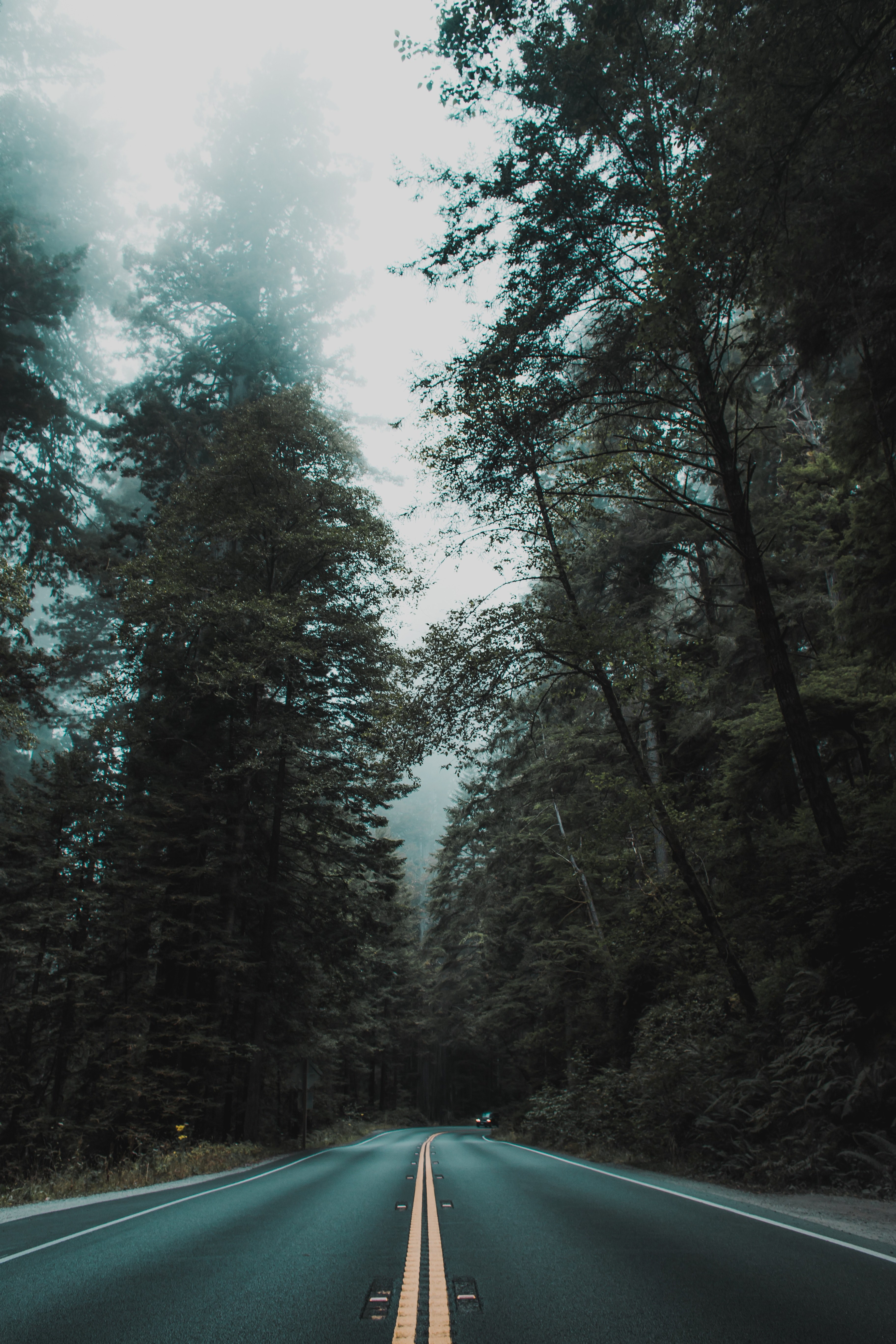 road less traveled 4k, Phone HD Wallpaper