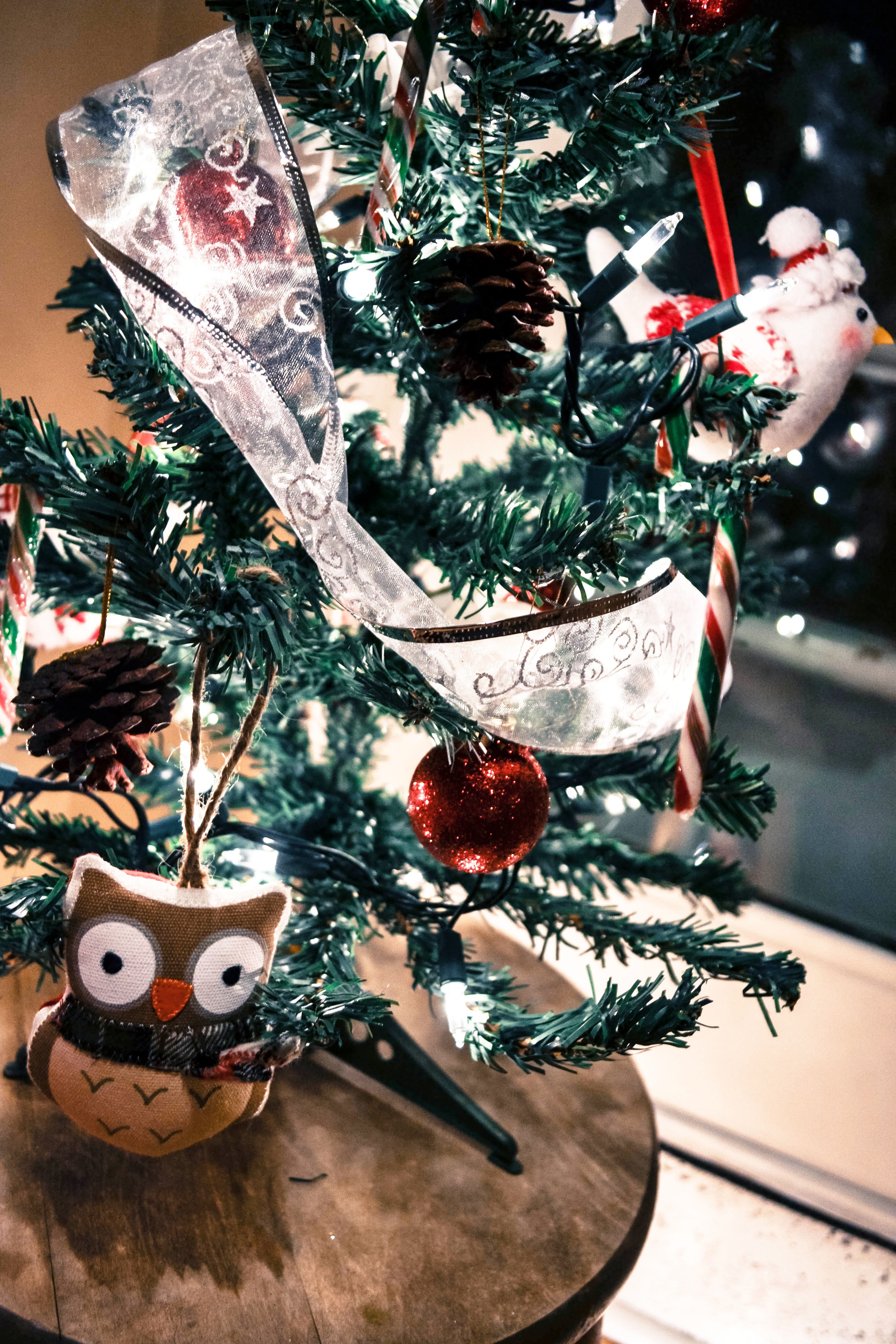 an owl sitting in front of a small christmas tree, _owl christmas tree 4k, Phone HD Wallpaper