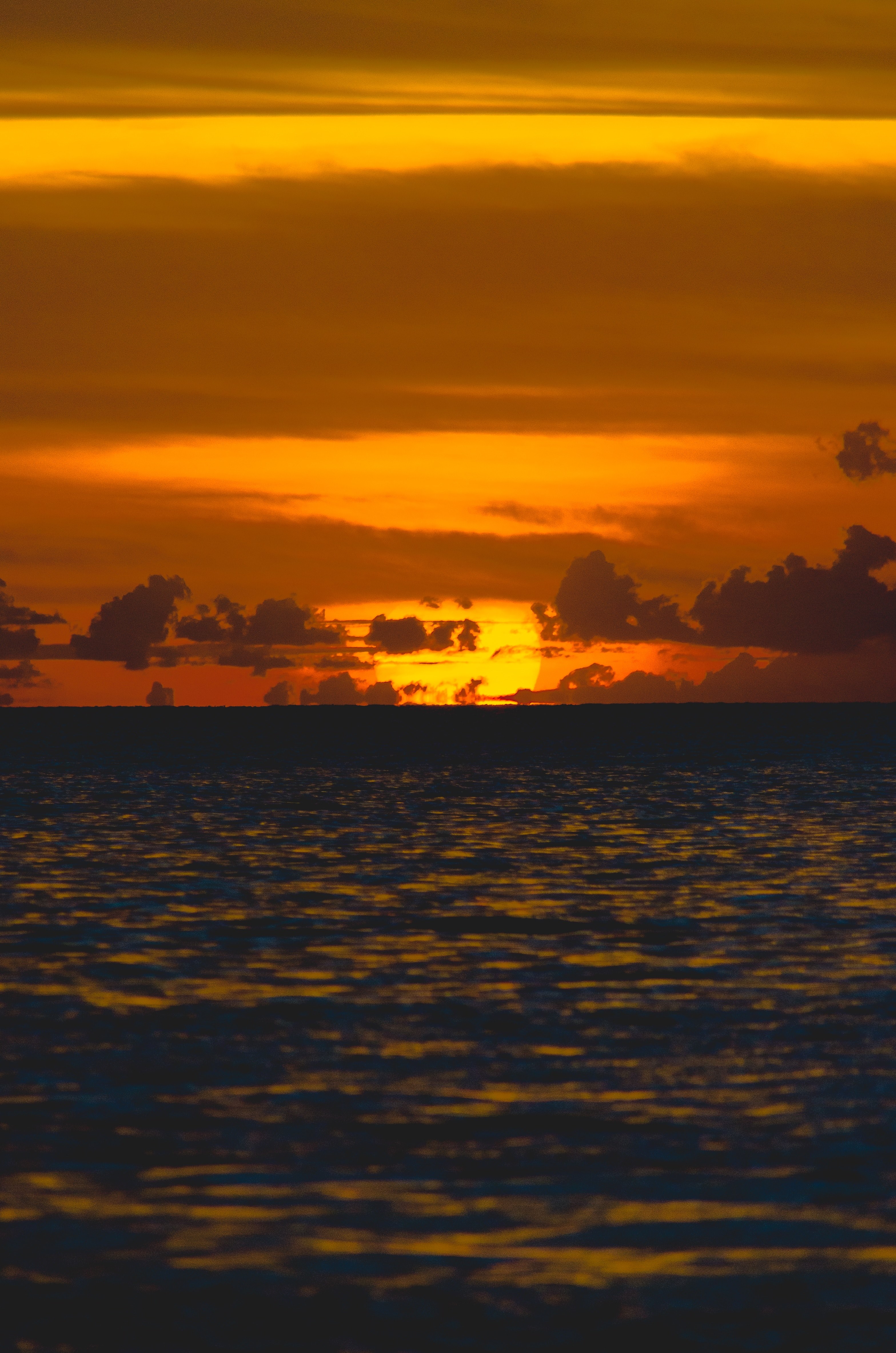 running towards the sun 4k, Phone HD Wallpaper