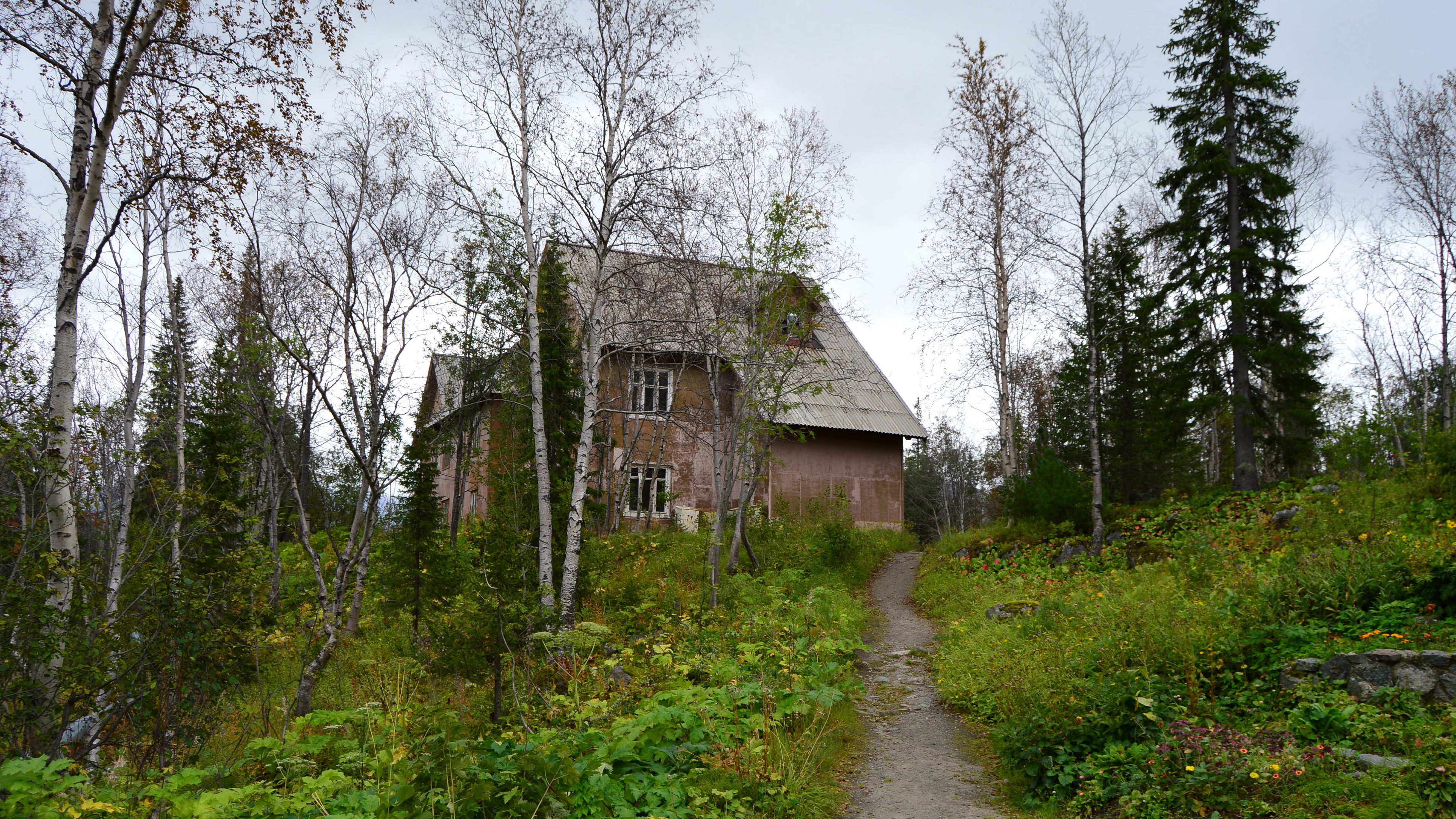 botanical garden, forest, trees, house, 4k, HD Wallpaper