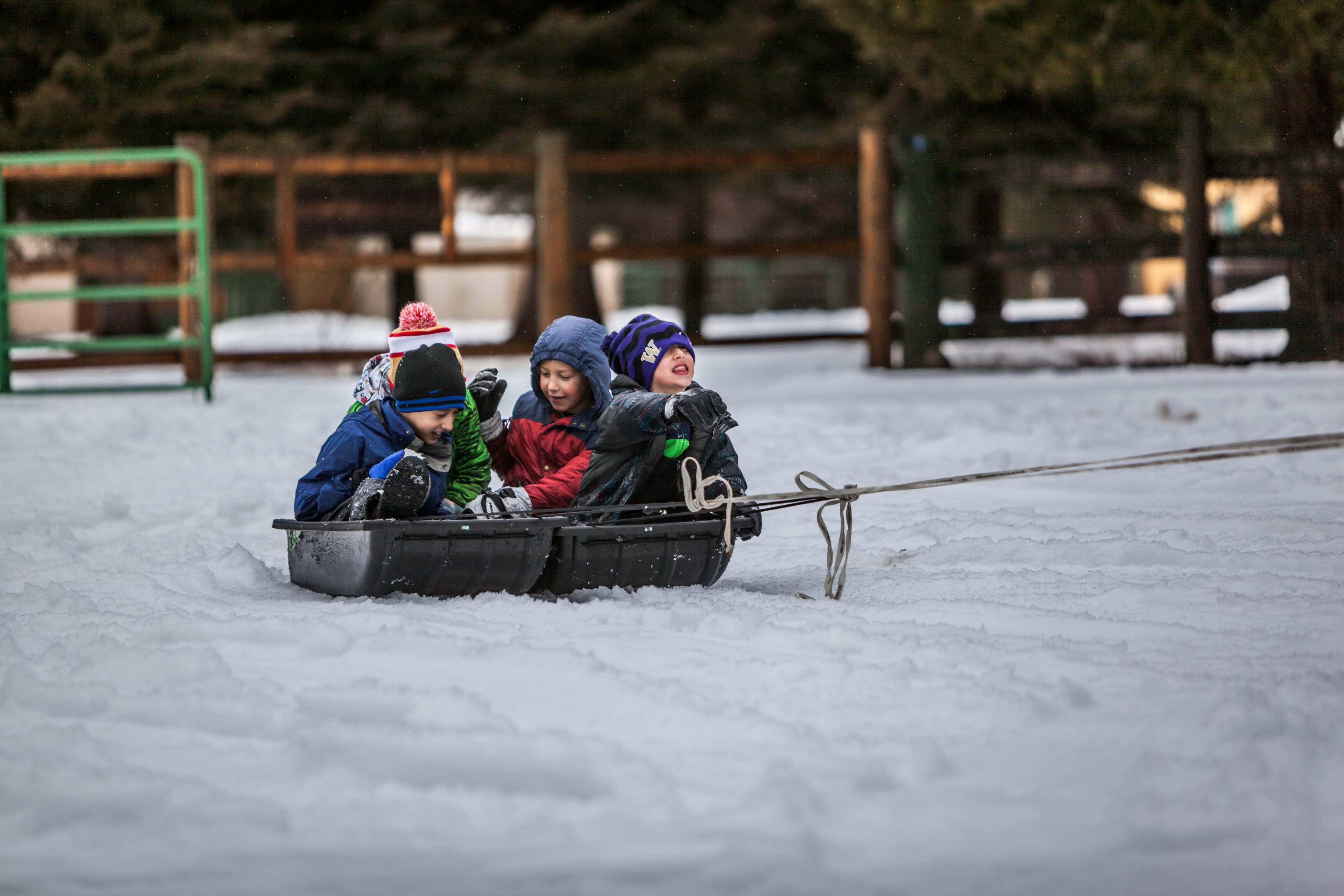 children riding on a sled pulled by a rope in a fenced area in the cold, snowboys 4k, HD Wallpaper