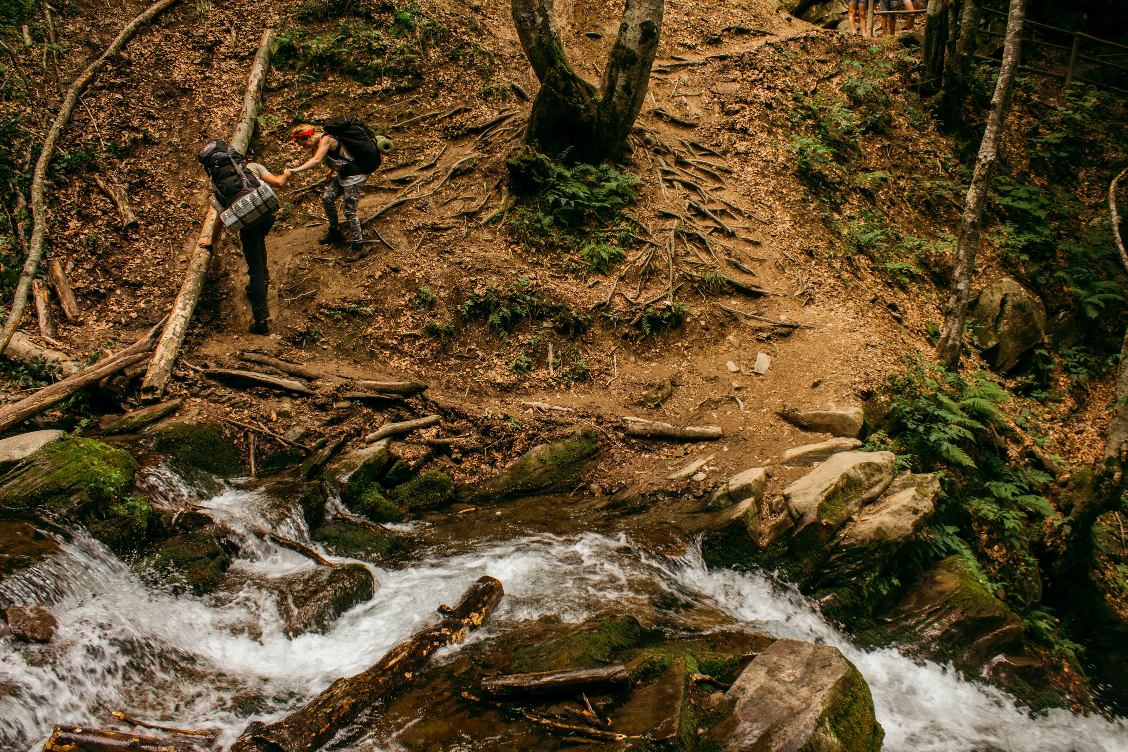 a hiker giving a hand to his friend during a descent from a steep slope by a forest creek, hiking 4k, HD Wallpaper