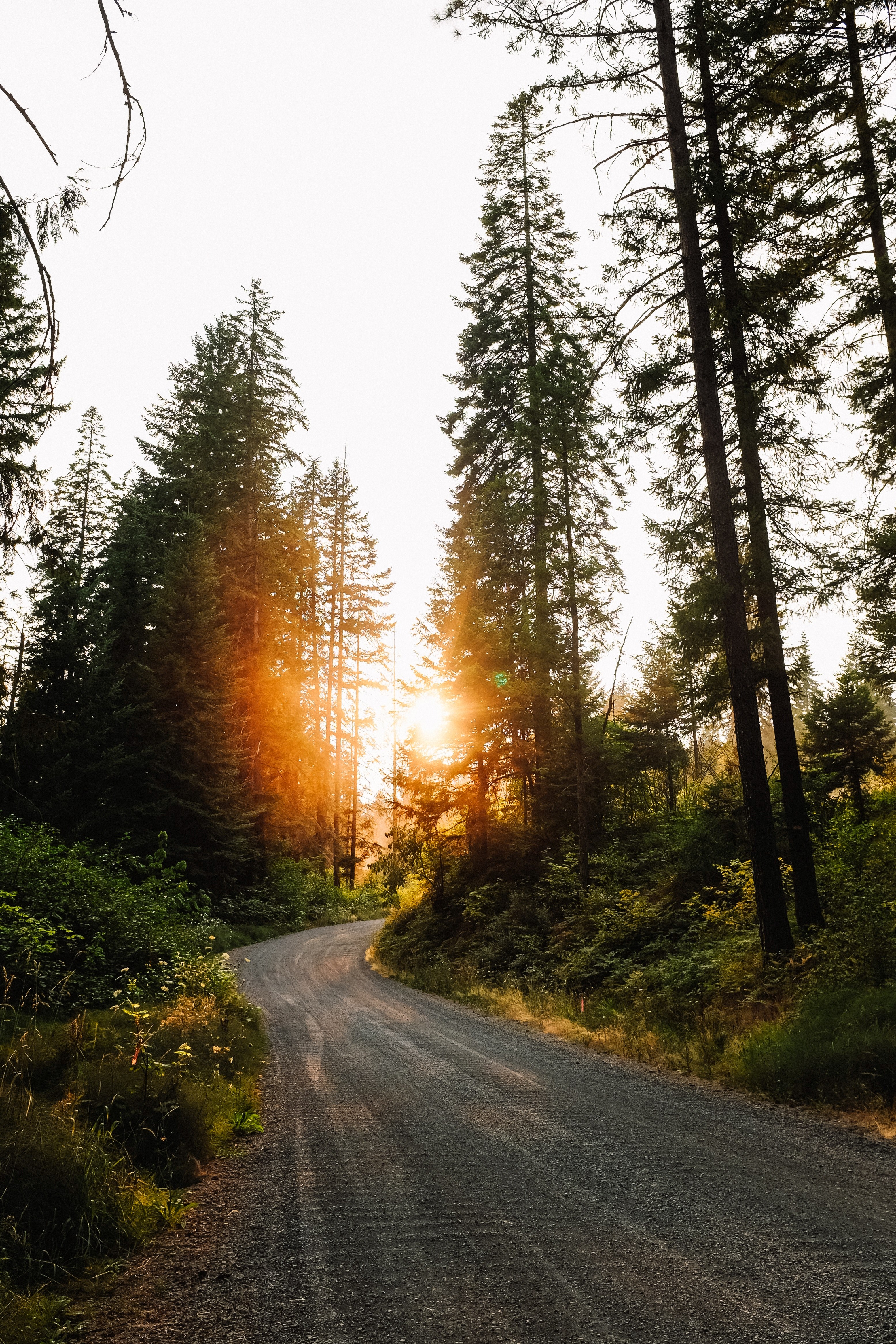 our driveway for a week 4k, Phone HD Wallpaper
