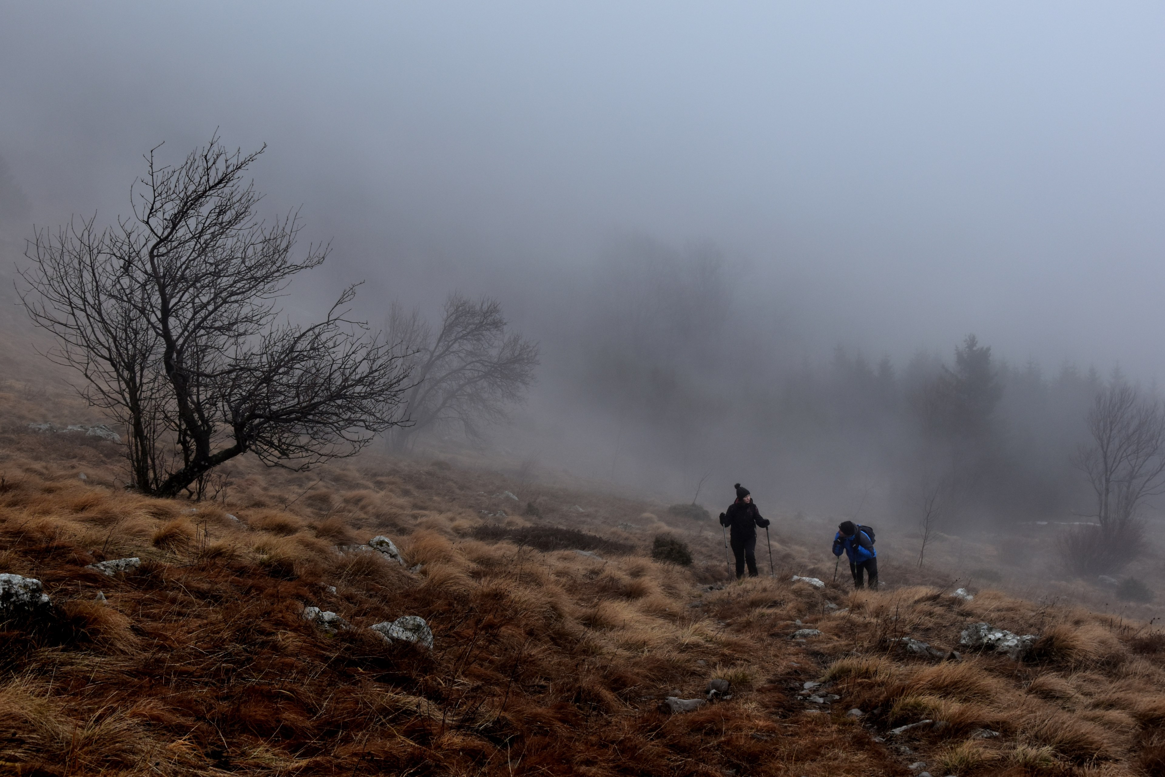 people hike over hills on a foggy winter walk, hikings through hills 4k, HD Wallpaper