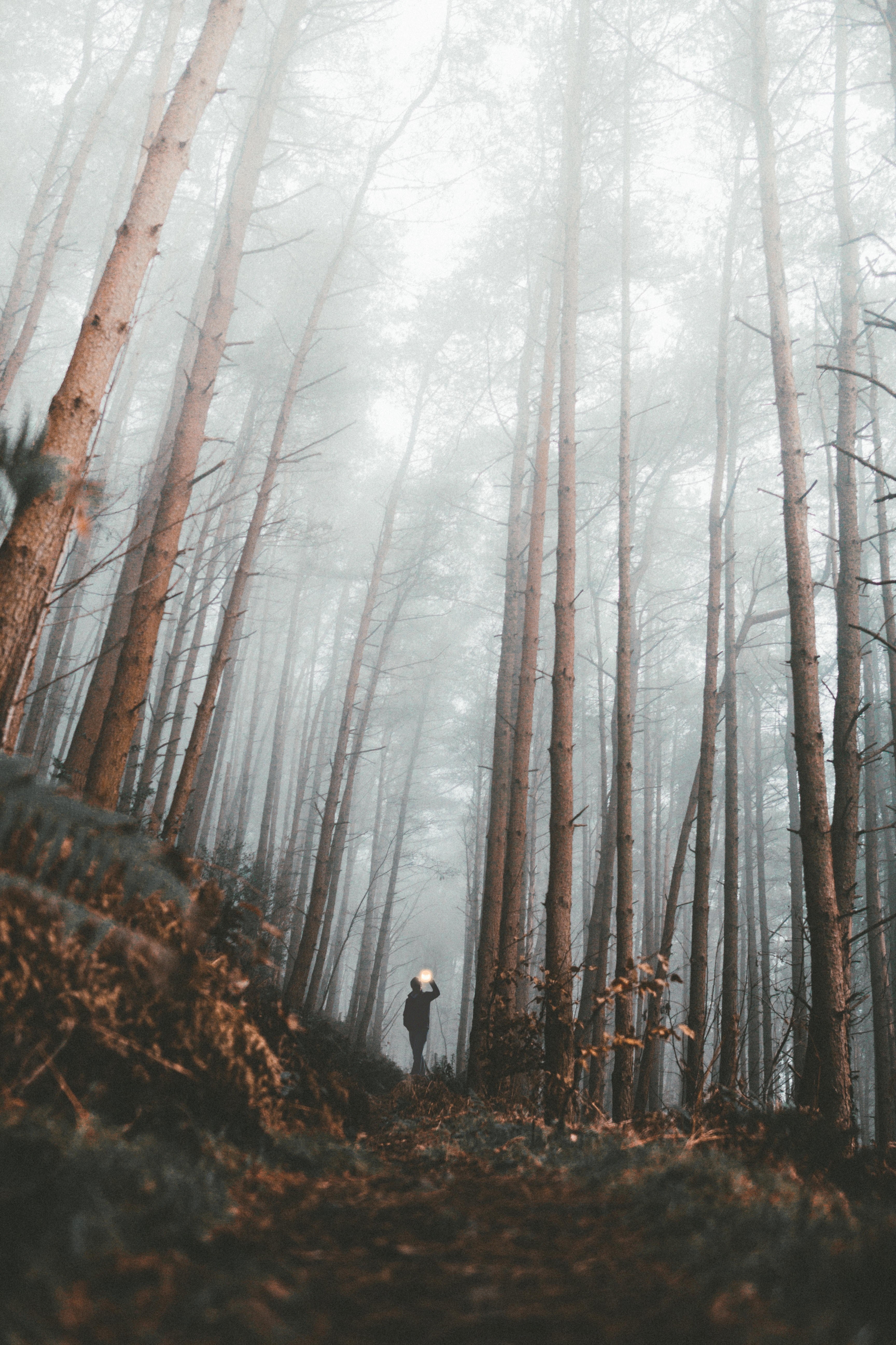 searching lost places 4k, Phone HD Wallpaper