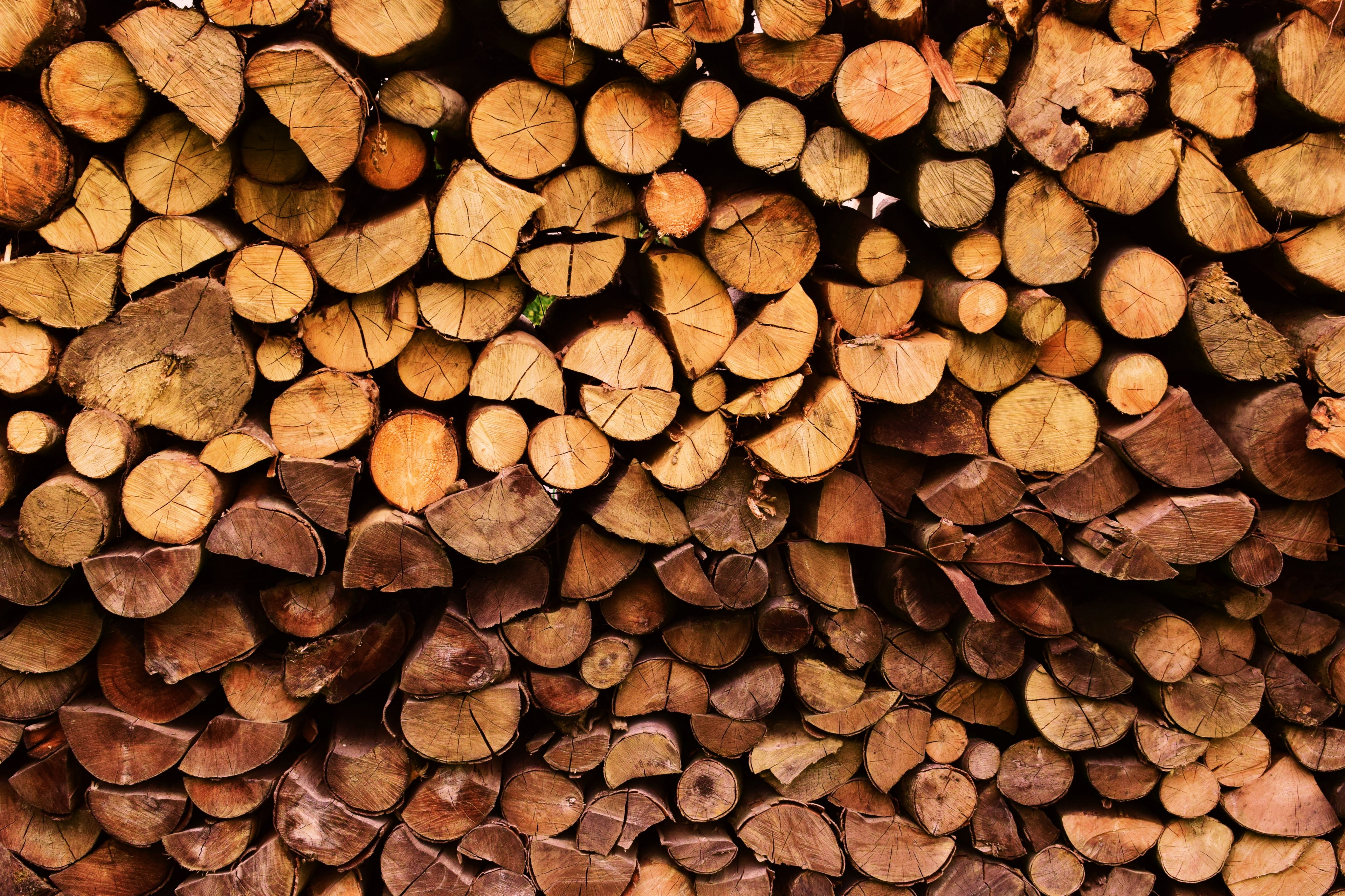 two tone wood 4k, HD Wallpaper