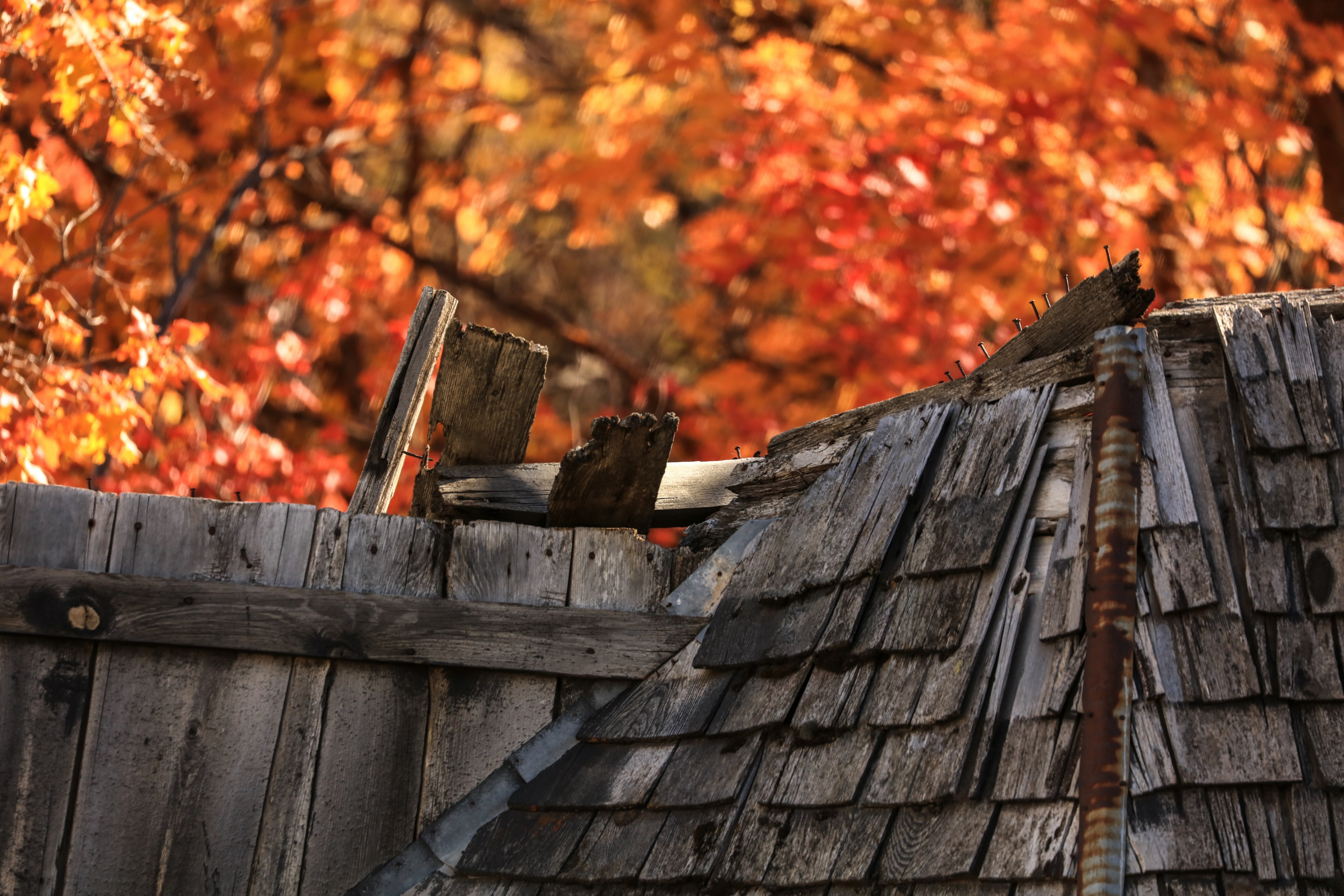 patrick hendry abandoned red 4k, HD Wallpaper