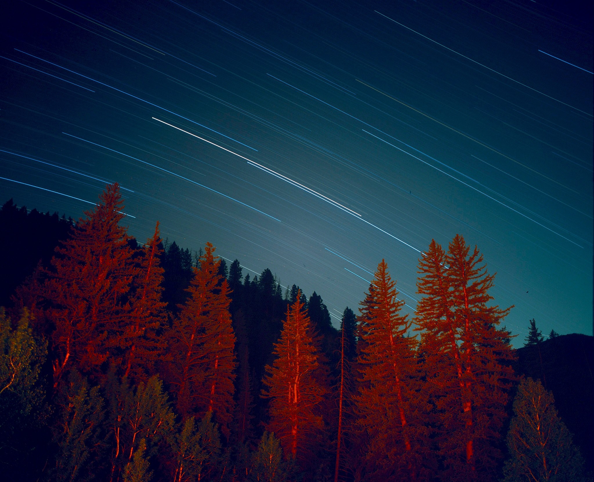 red light on coniferous trees under straight lines formed by stars moving in the sky, moving stars above red trees 4k, HD Wallpaper