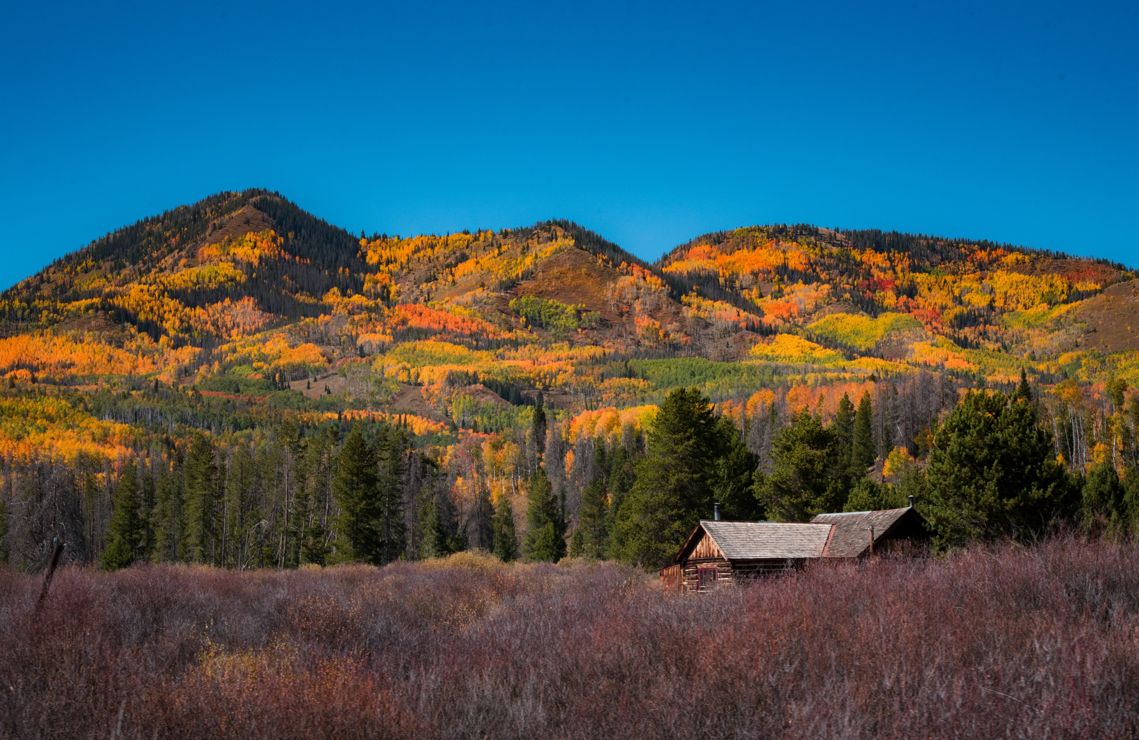 hills with colorful autumn trees near a wooden cabin, cabin near colorful hills 4k, HD Wallpaper