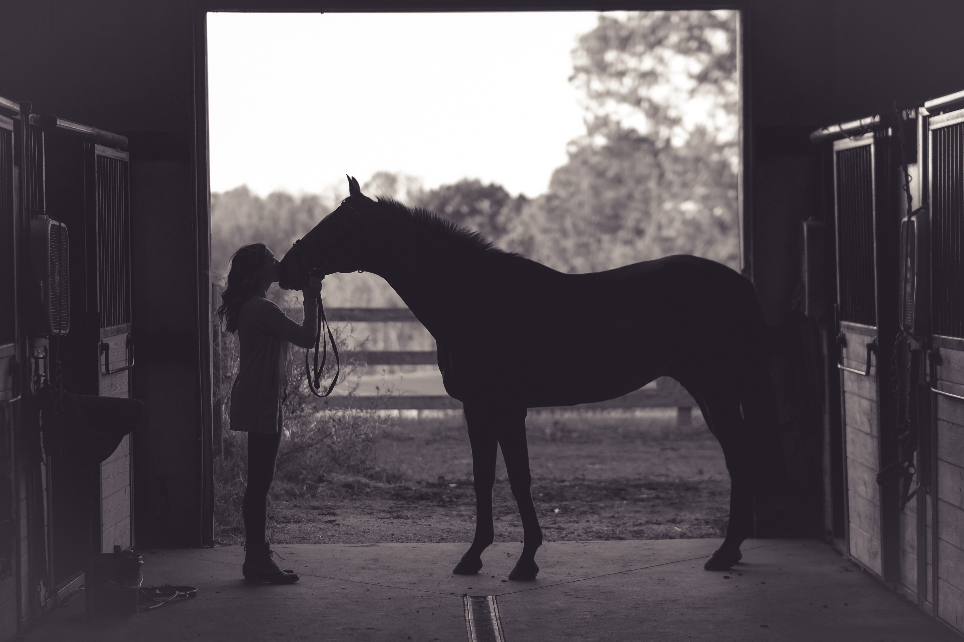 she loves her horse_ 4k, HD Wallpaper