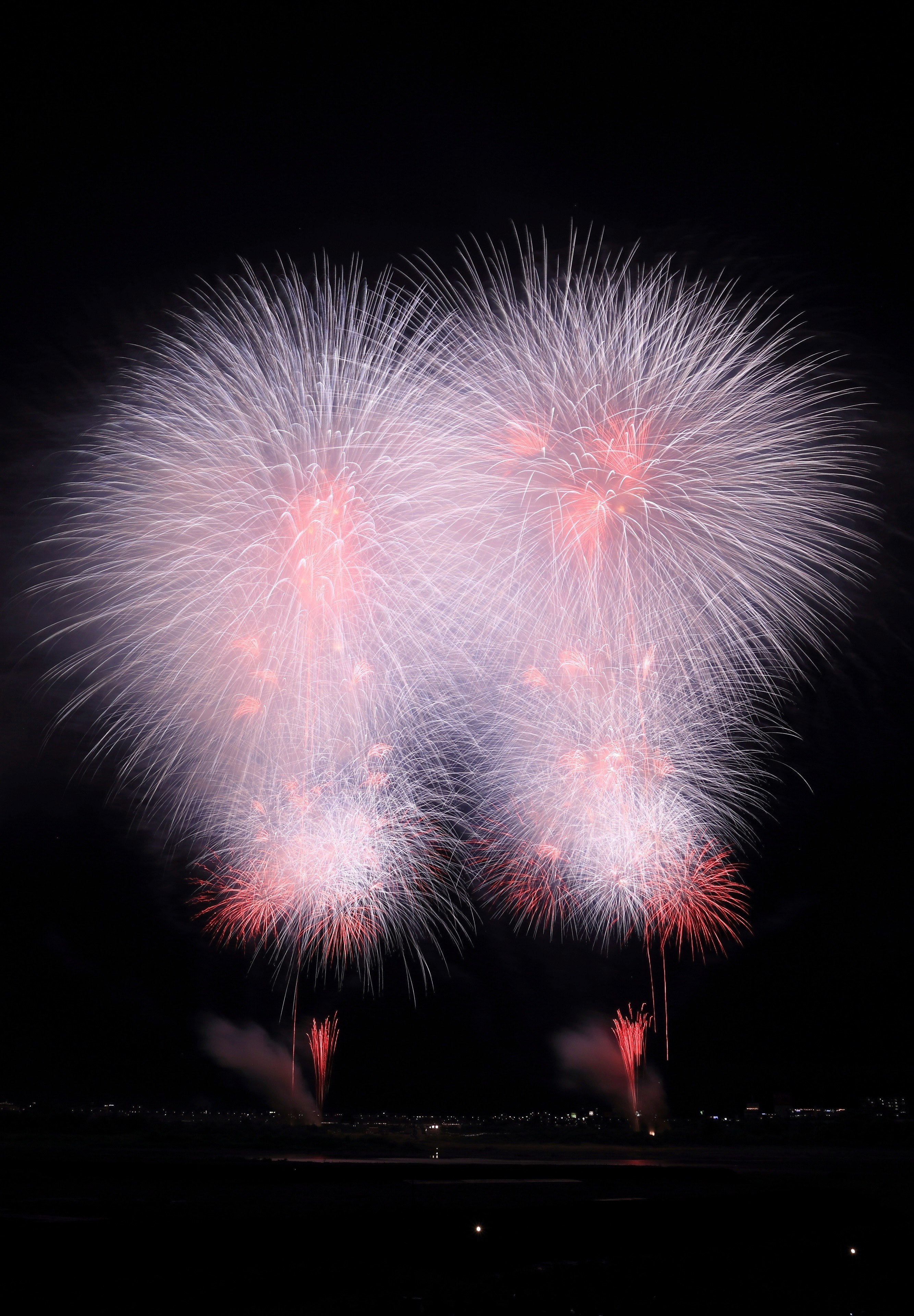 firework night sky and explosion hd, 4k, Phone HD Wallpaper