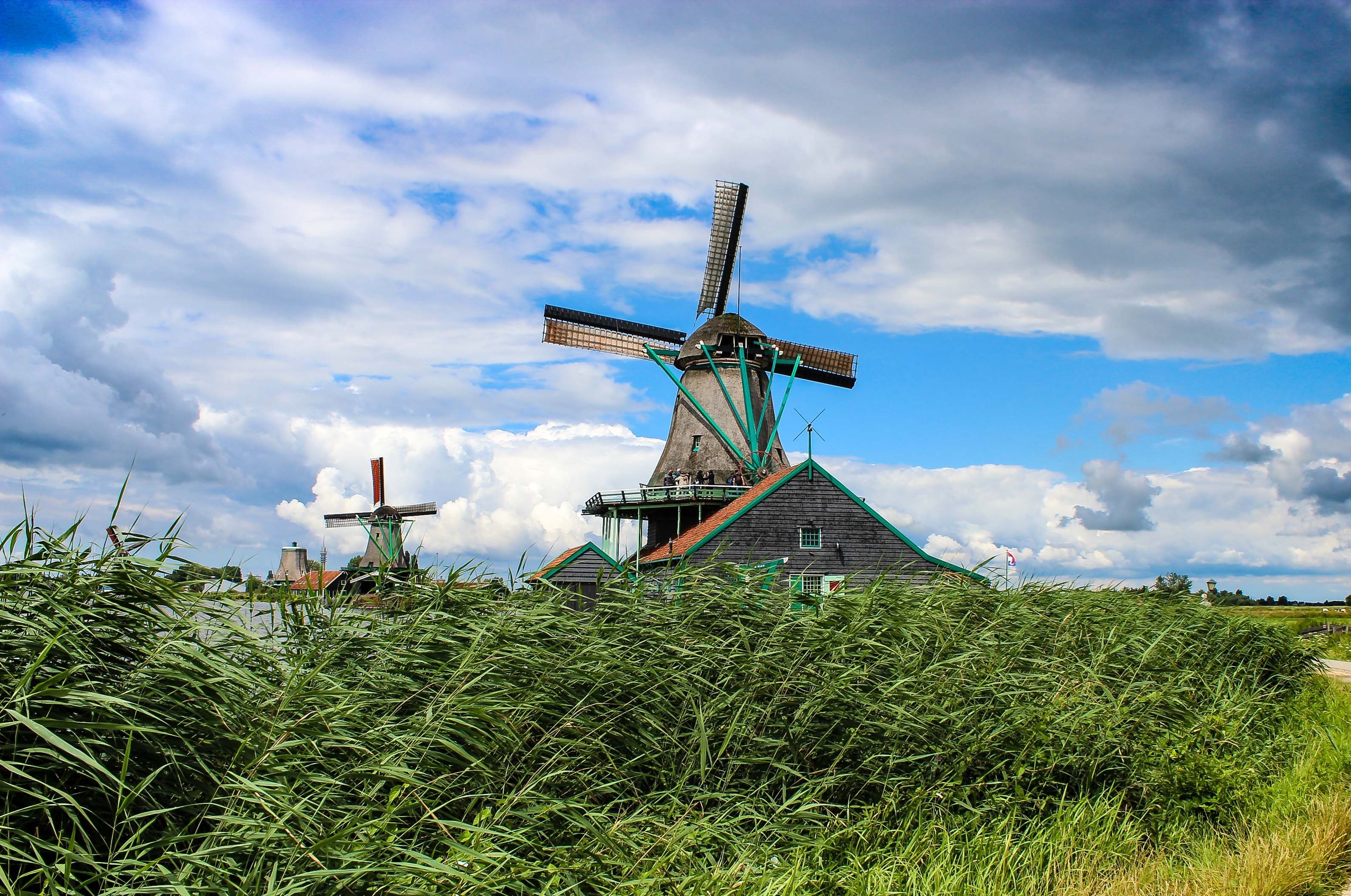 windmill grass field and building 4k, HD Wallpaper