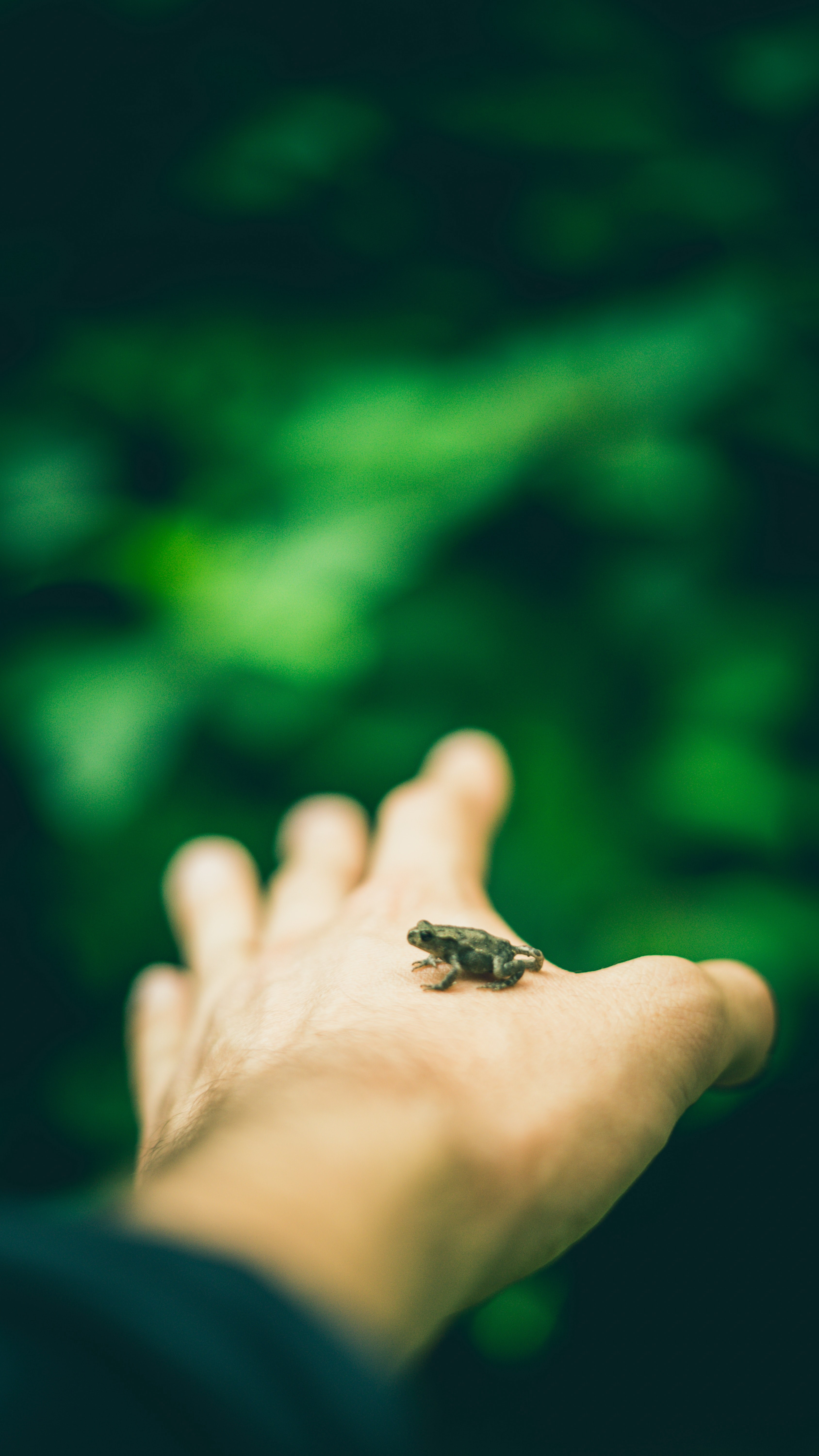 take the leap 4k, Phone HD Wallpaper