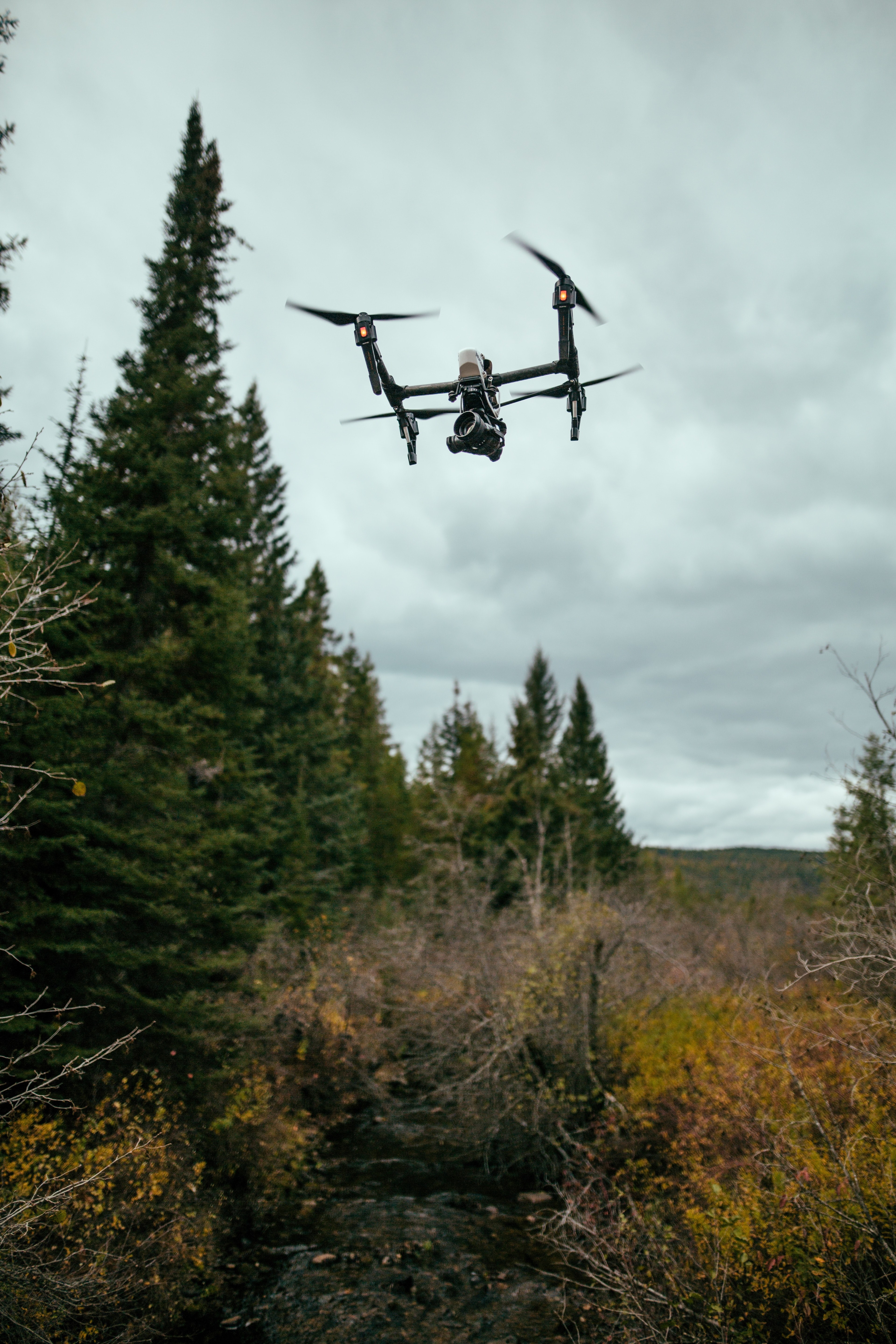 a black drone in flight near coniferous trees, drone near a forest 4k, Phone HD Wallpaper