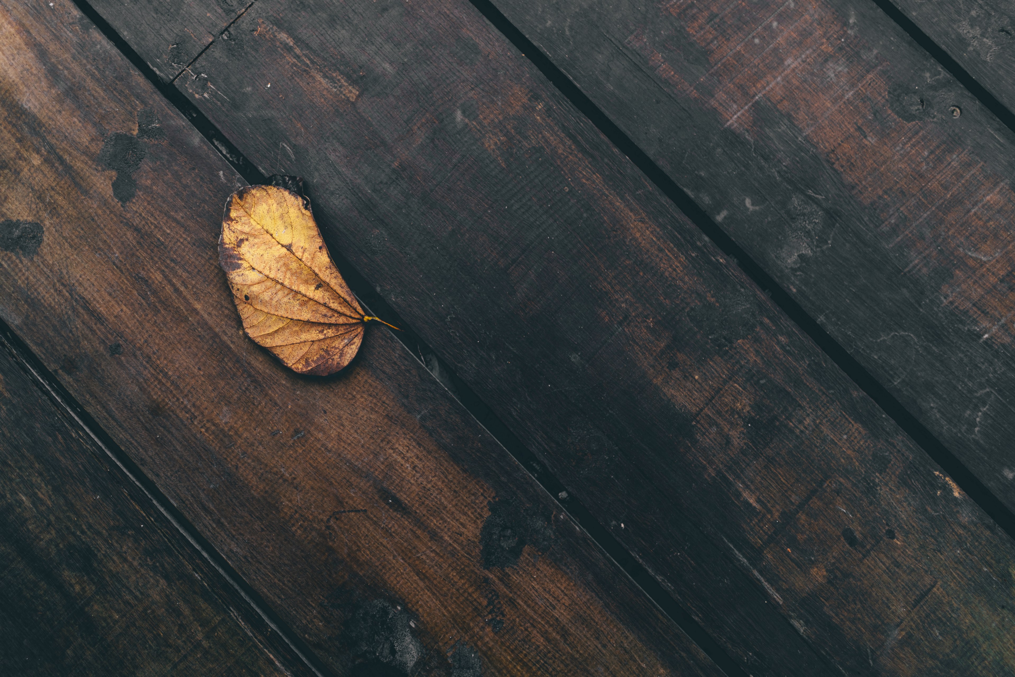 leaf wooden plank wooden floor and plank 4k, HD Wallpaper