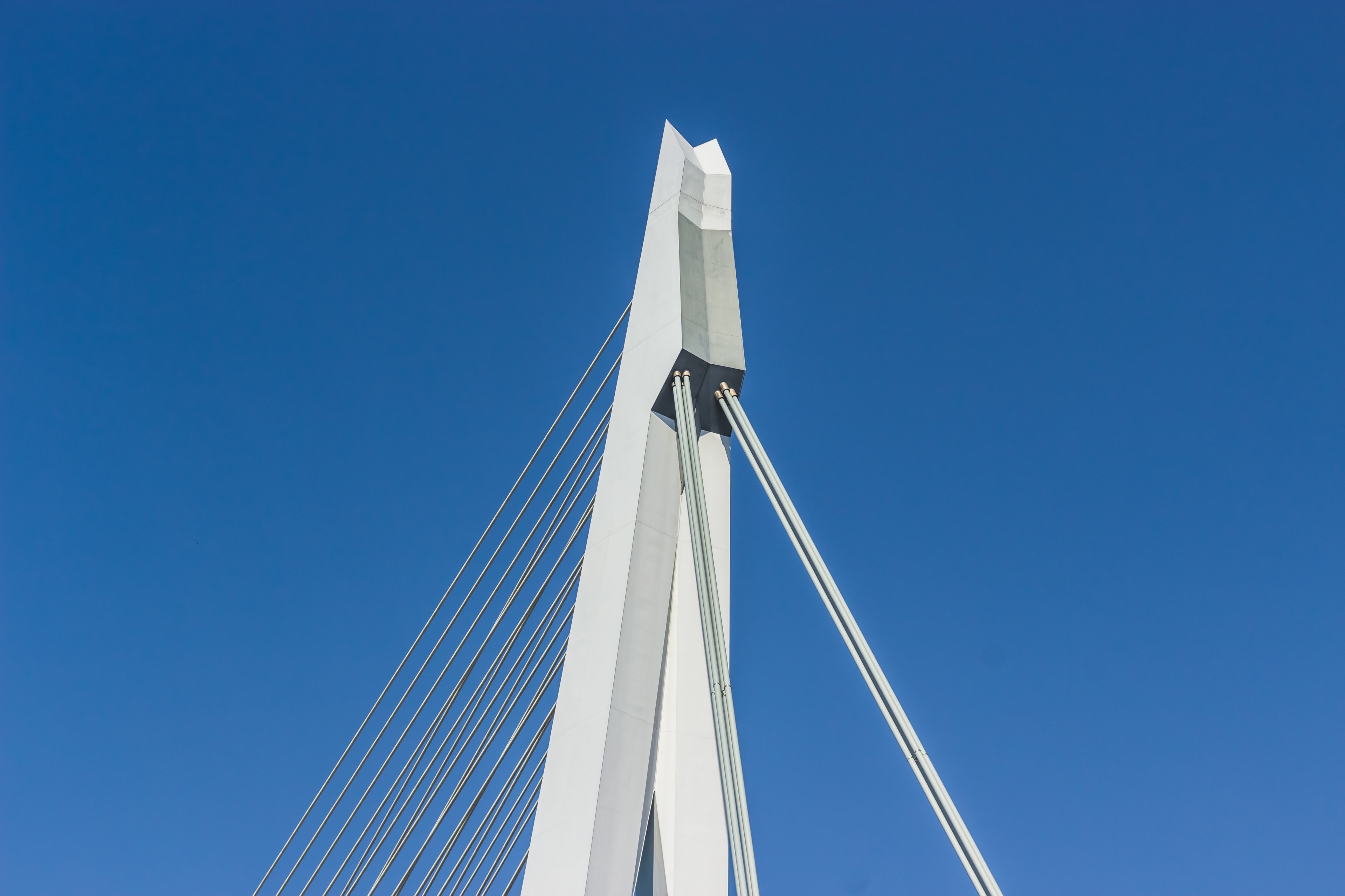 the erasmus bridge in rotterdam the netherlands_ 4k, HD Wallpaper
