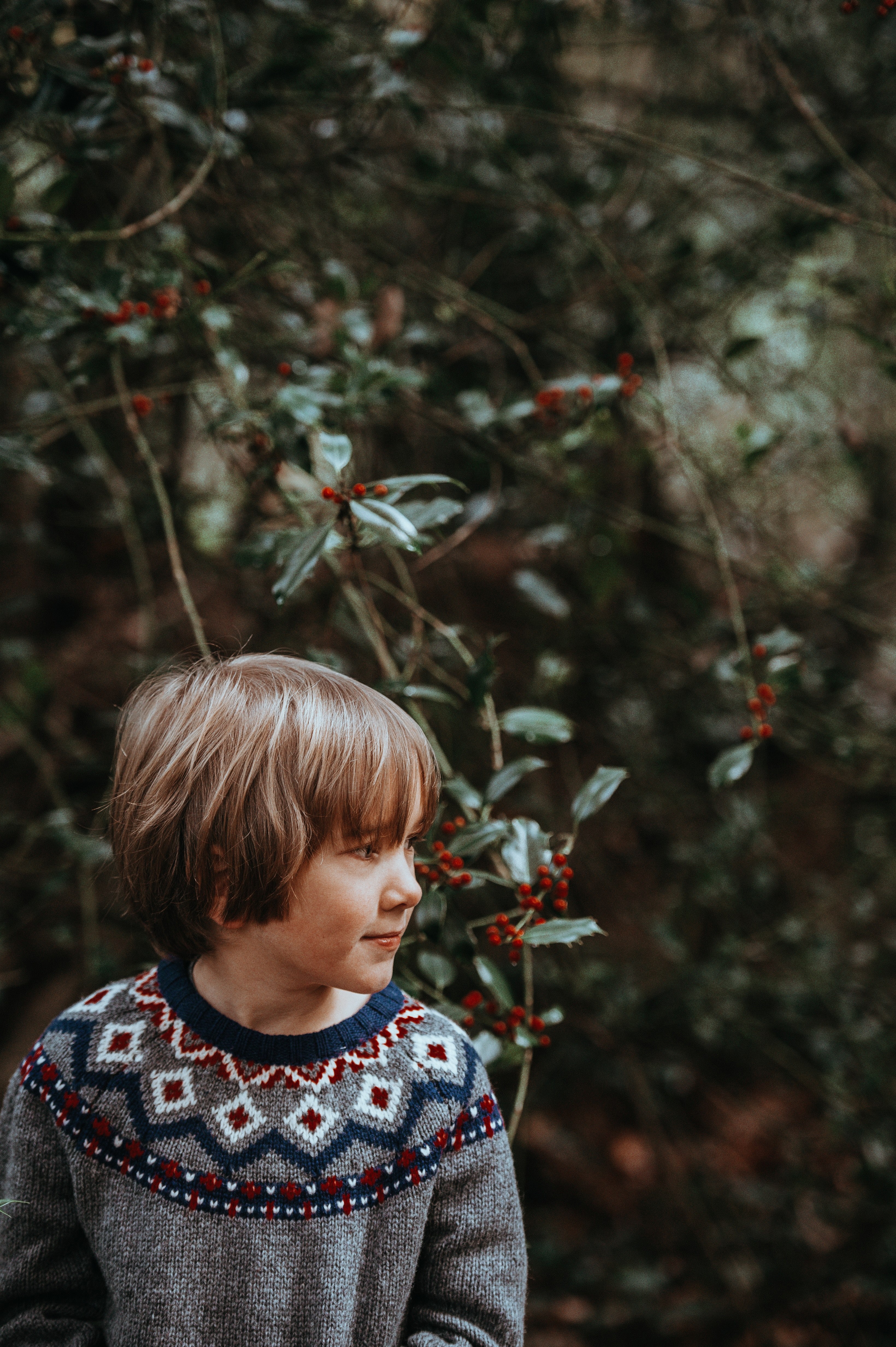 child with holly 4k, Phone HD Wallpaper