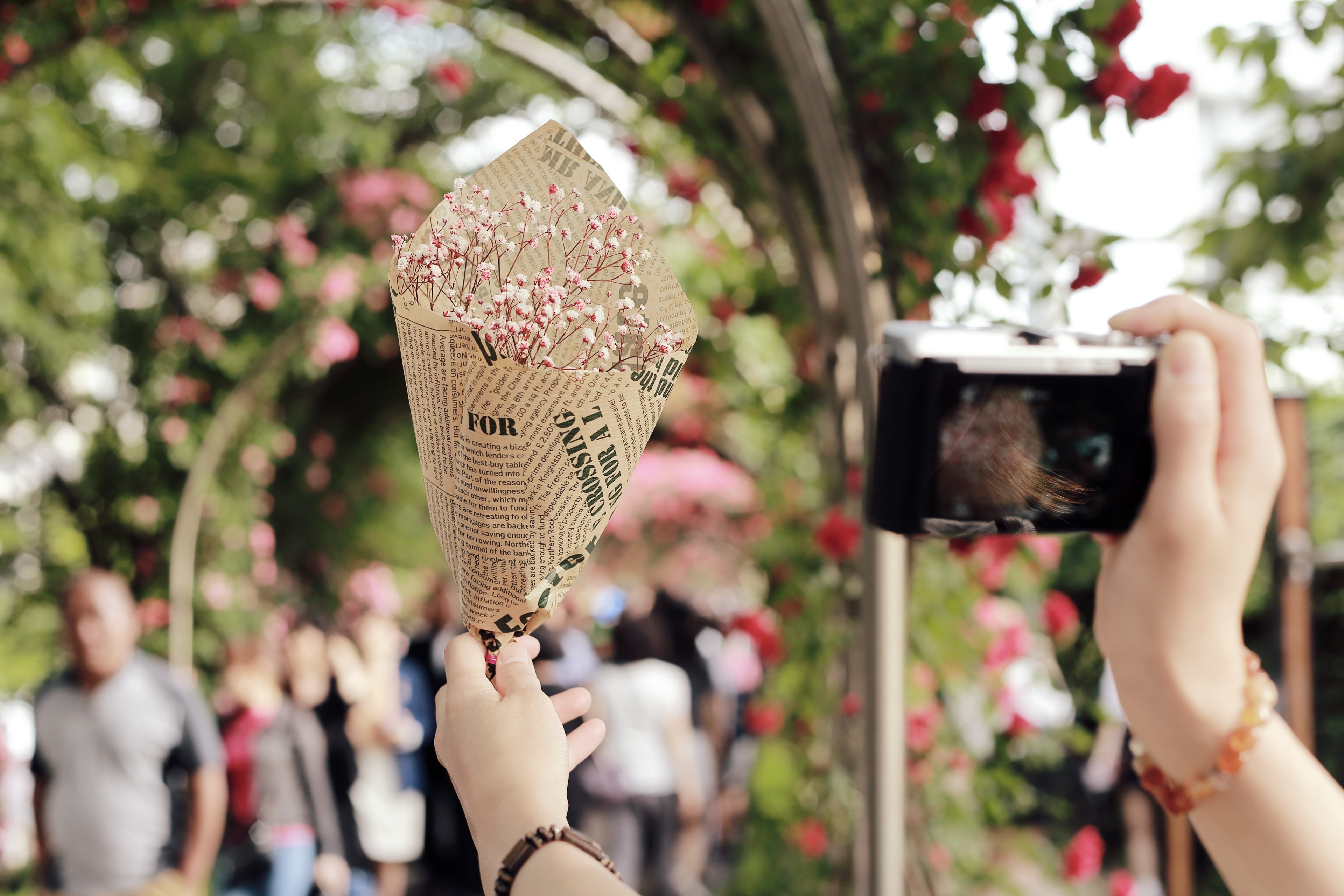 a person holding up a small posy of white flowers in one hand and taking a picture with a camera in the other hand, rose festival 4k, HD Wallpaper