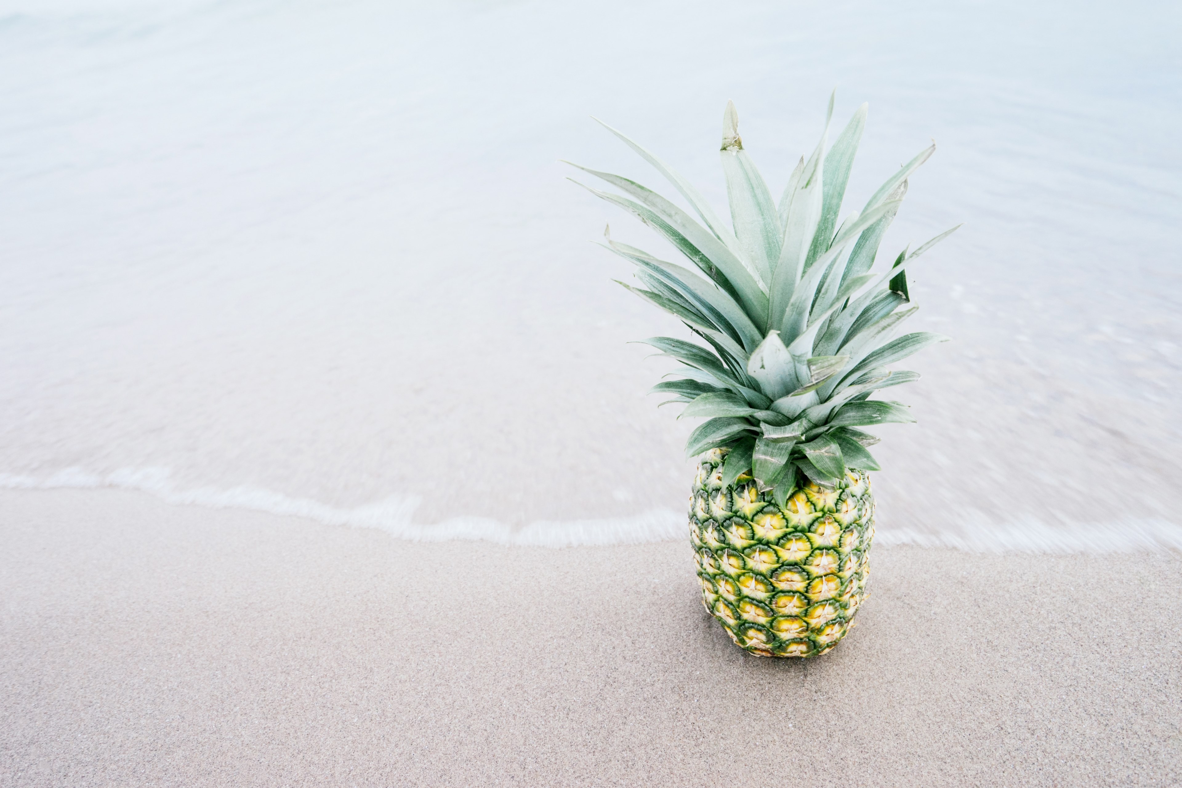 fresh pineapple sitting on the ocean shoreline, beach pineapple 4k, HD Wallpaper