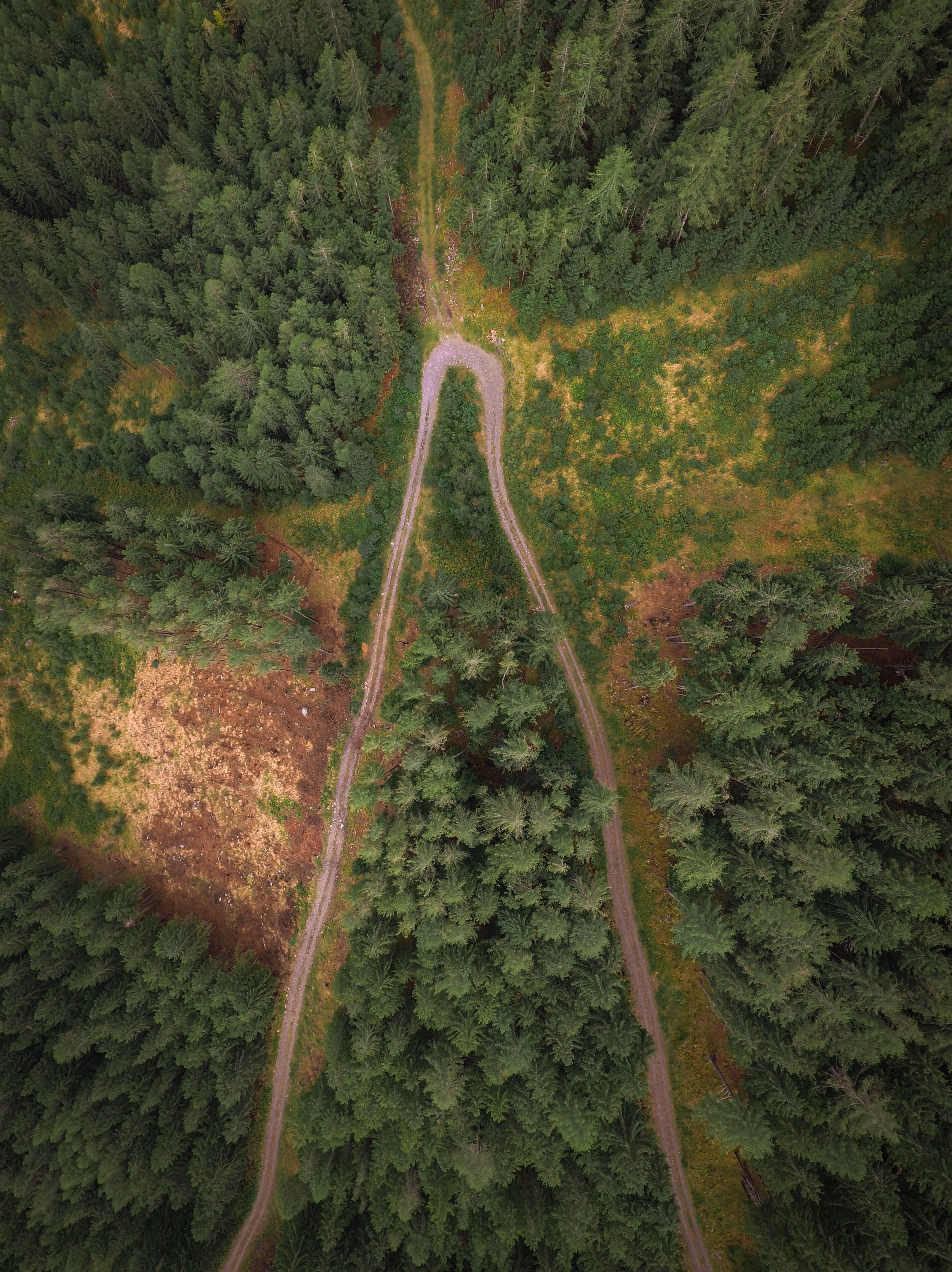 take a little detour 4k, Phone HD Wallpaper