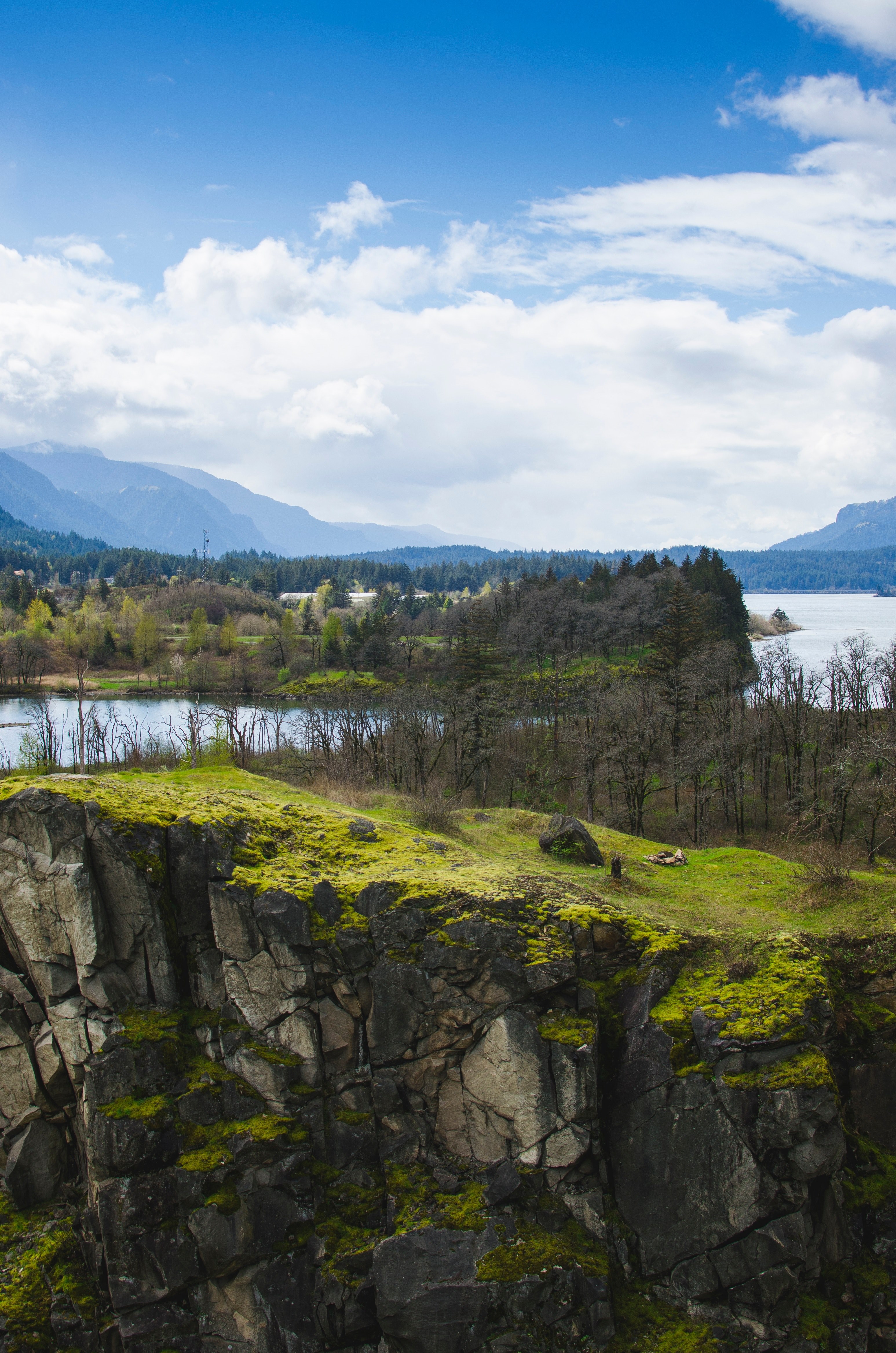 moss on a rocky hill near a river in oregon, mossy rock hill 4k, Phone HD Wallpaper
