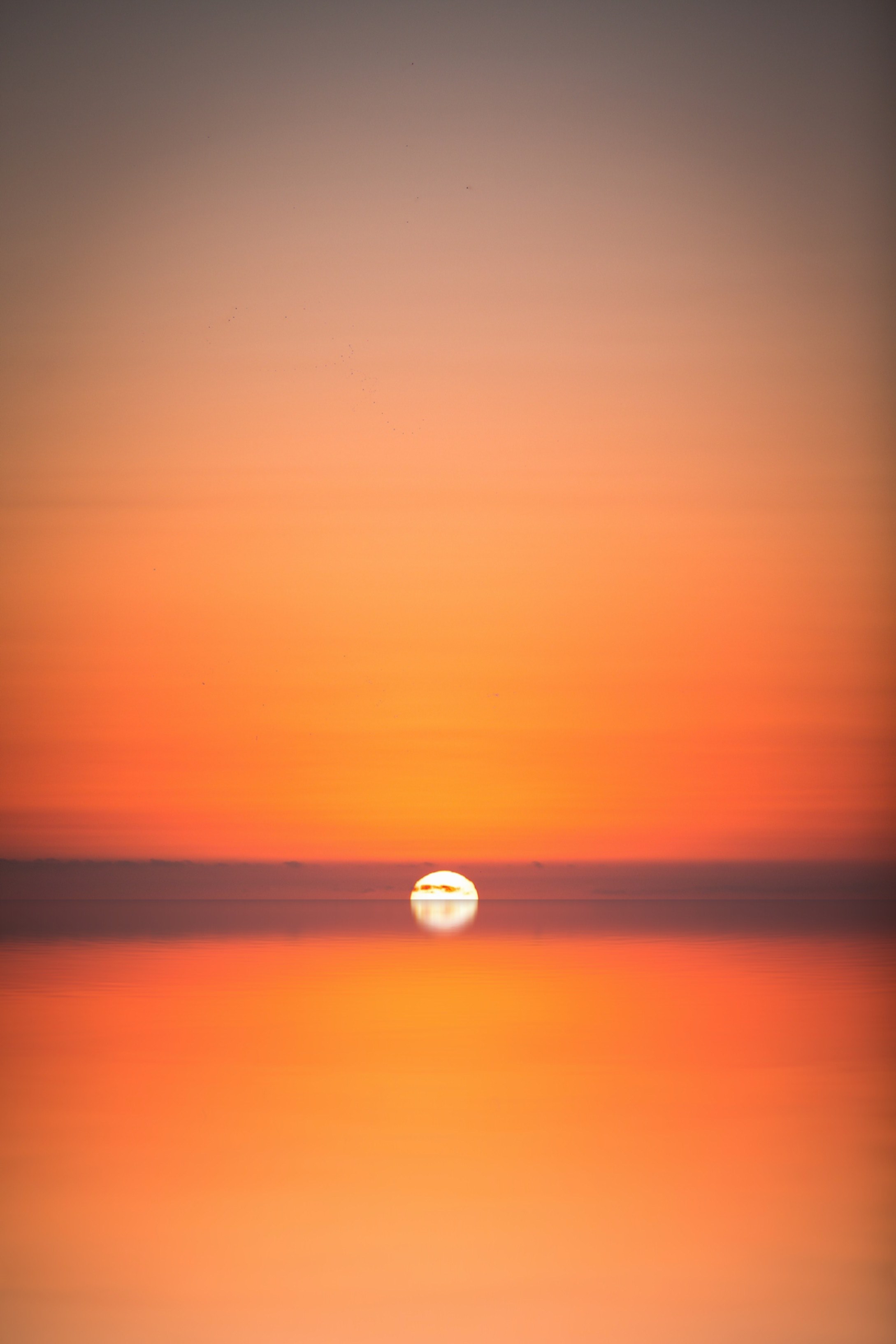 sunsets in san diego 4k, Phone HD Wallpaper