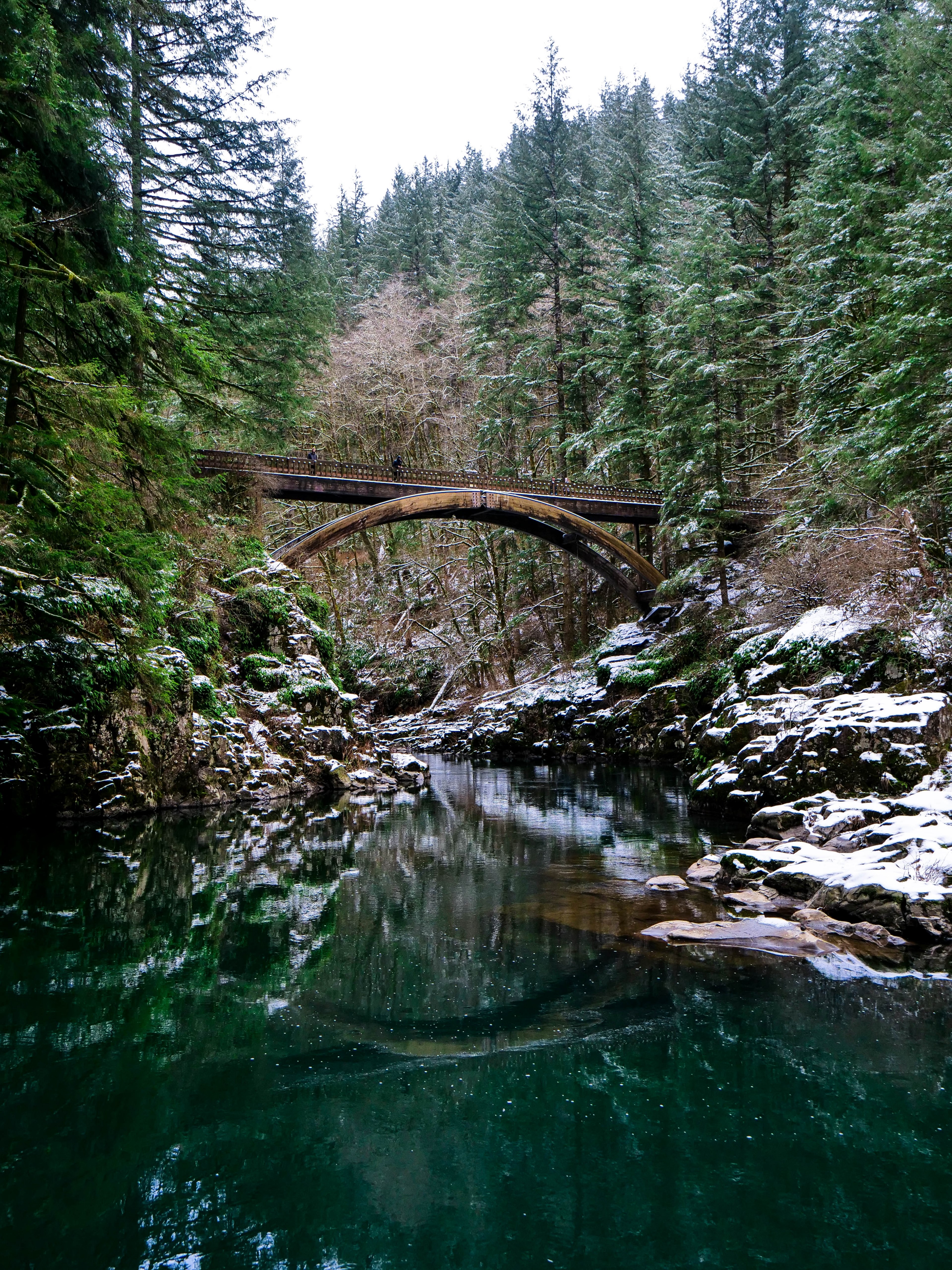 winter in the pnw 4k, Phone HD Wallpaper