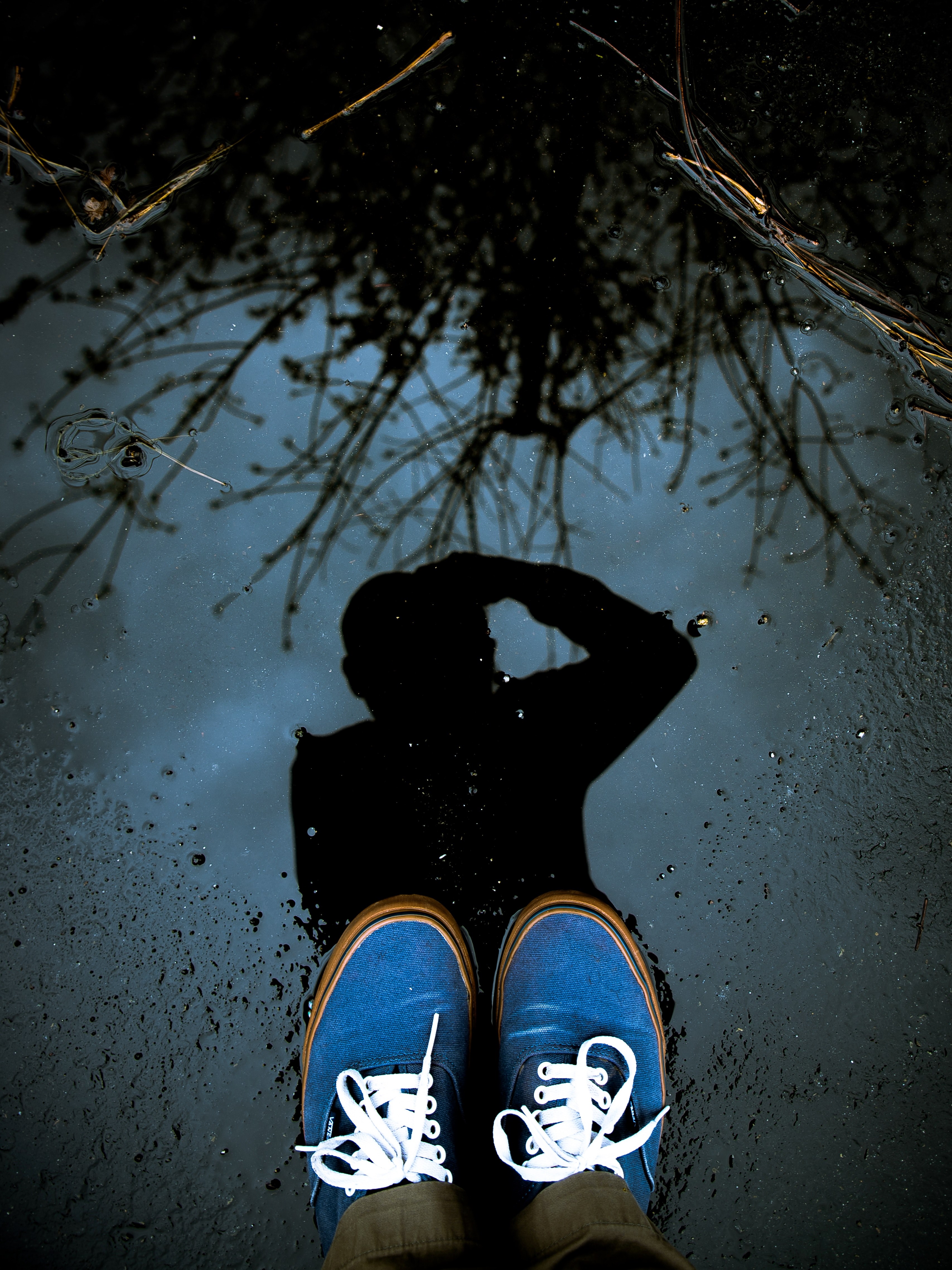 puddle play 4k, Phone HD Wallpaper