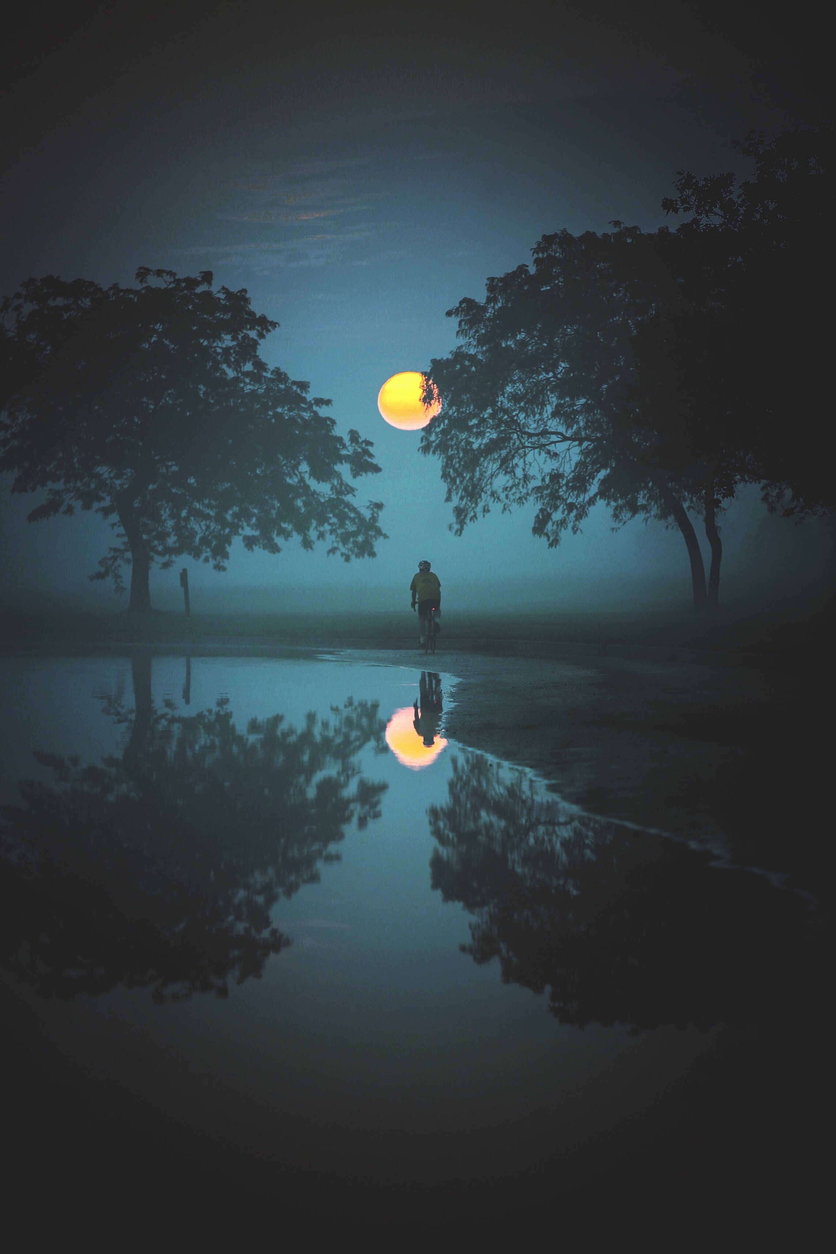 a water reflection picture capturing two bushy trees and a person standing under the moon, _detroit usa 4k, Phone HD Wallpaper