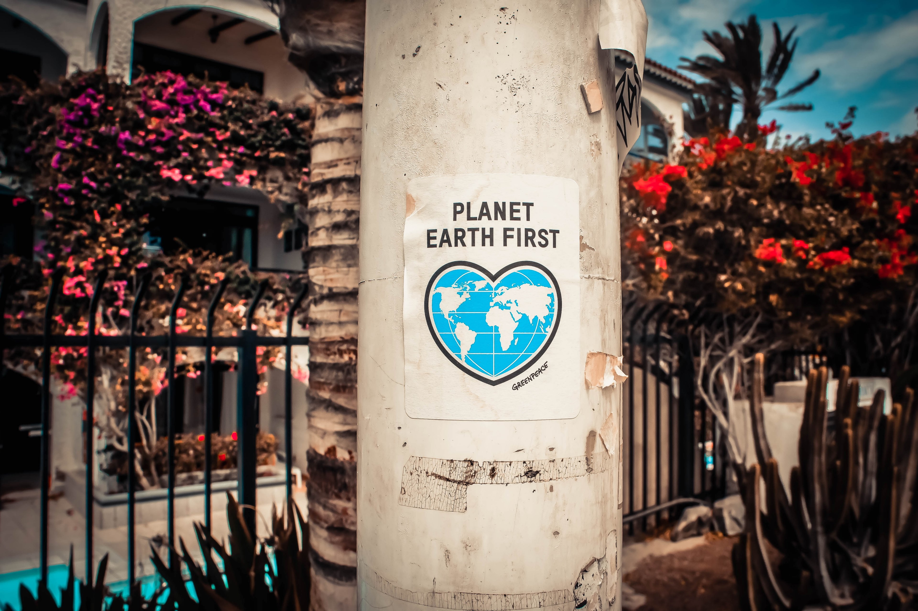 pillar column poster and sign 4k, HD Wallpaper