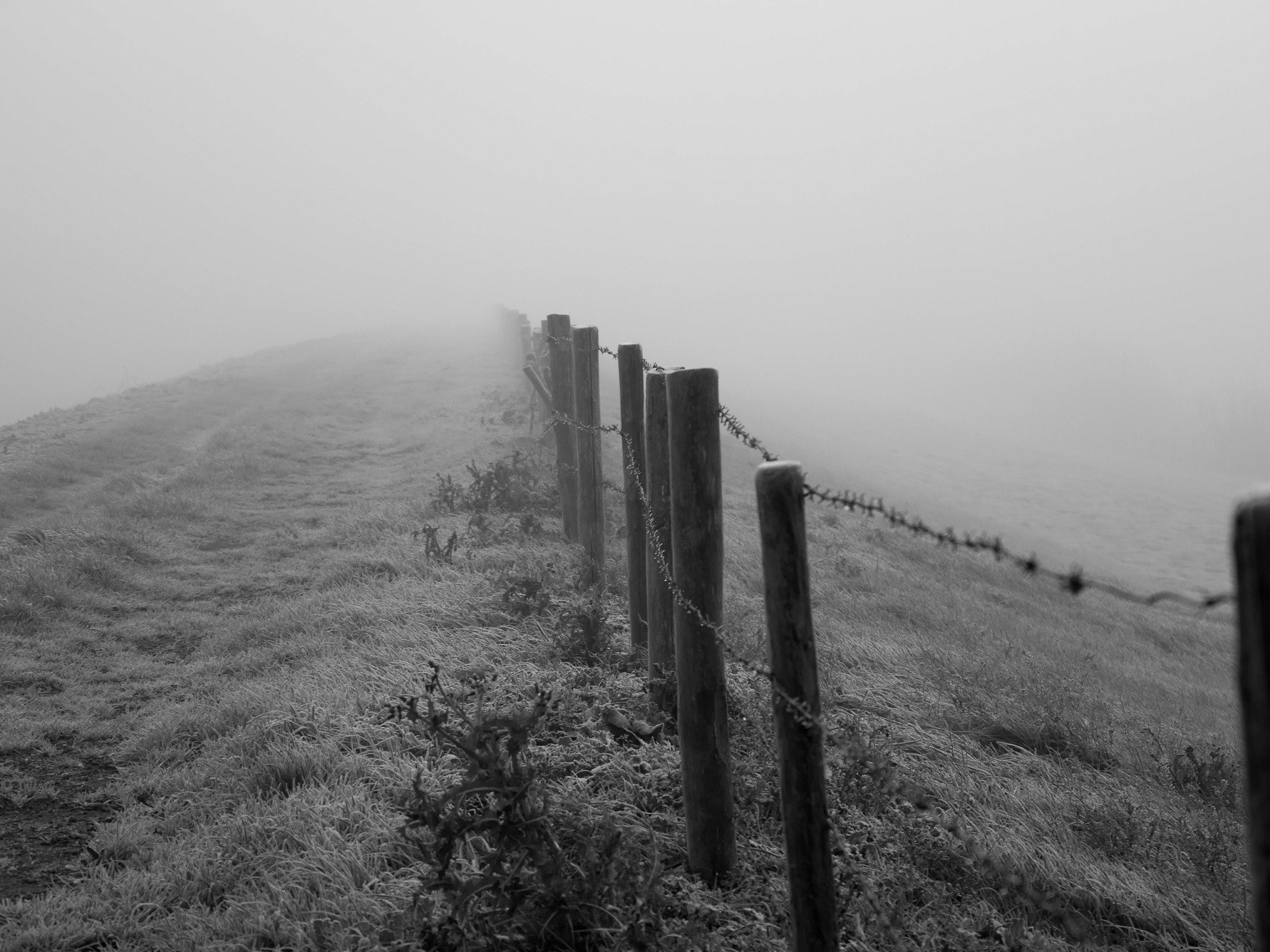 fog over a barbed wire fence in a countryside field, do not enter 4k, HD Wallpaper