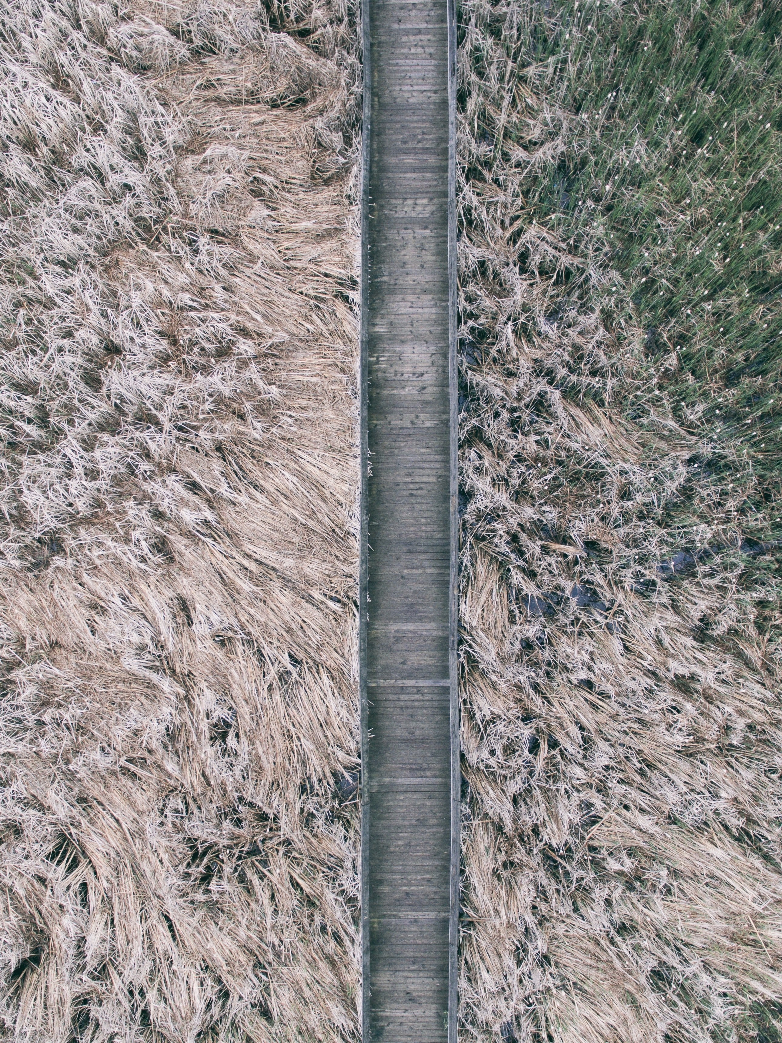 a drone shot of a wooden boardwalk surrounded by tall grass, boardwalk in the grass 4k, Phone HD Wallpaper