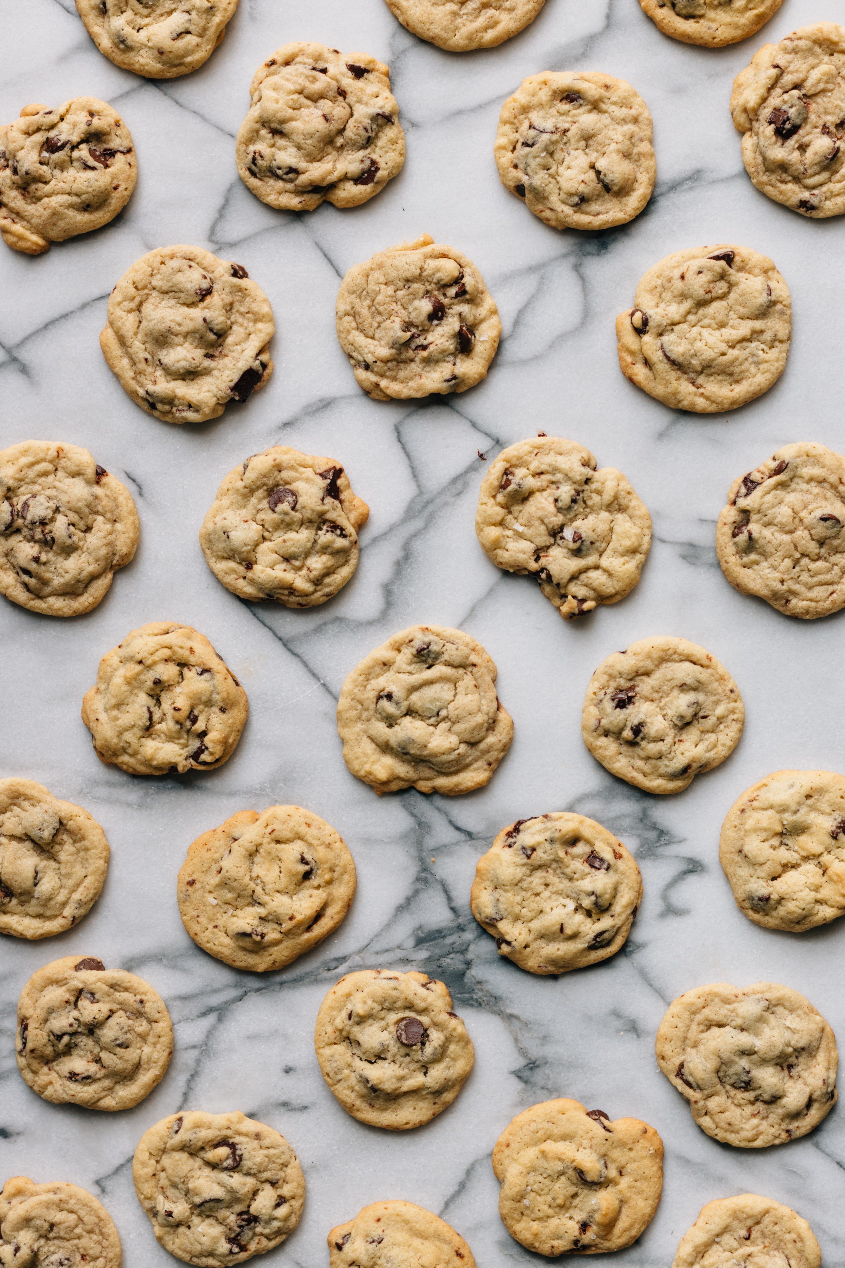 dozens of freshly baked chocolate chip cookies cooling, chocolate chip cookies 4k, Phone HD Wallpaper