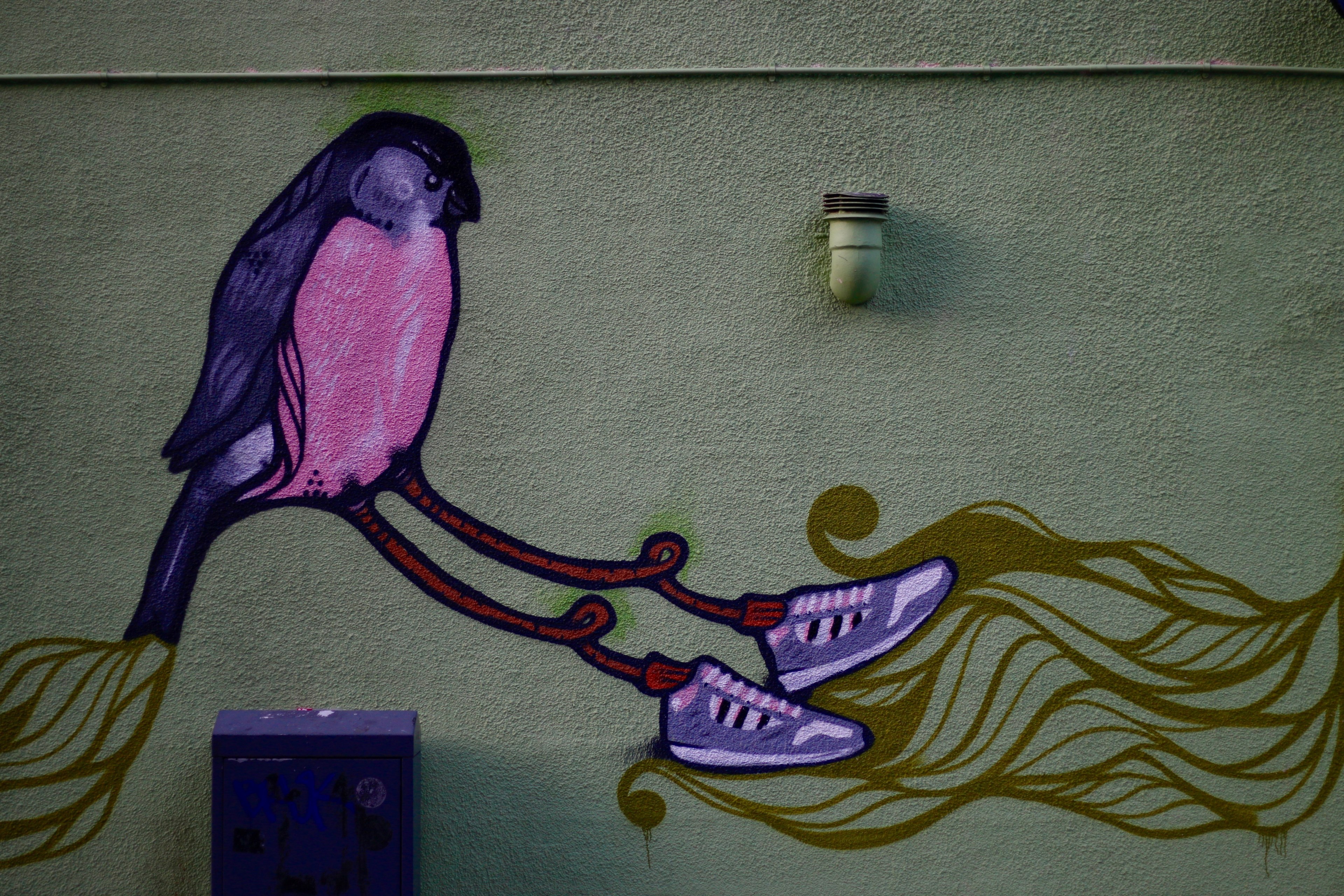 street art on building exterior with purple and pink bird wearing purple sneakers, bird in sneakers street art 4k, HD Wallpaper