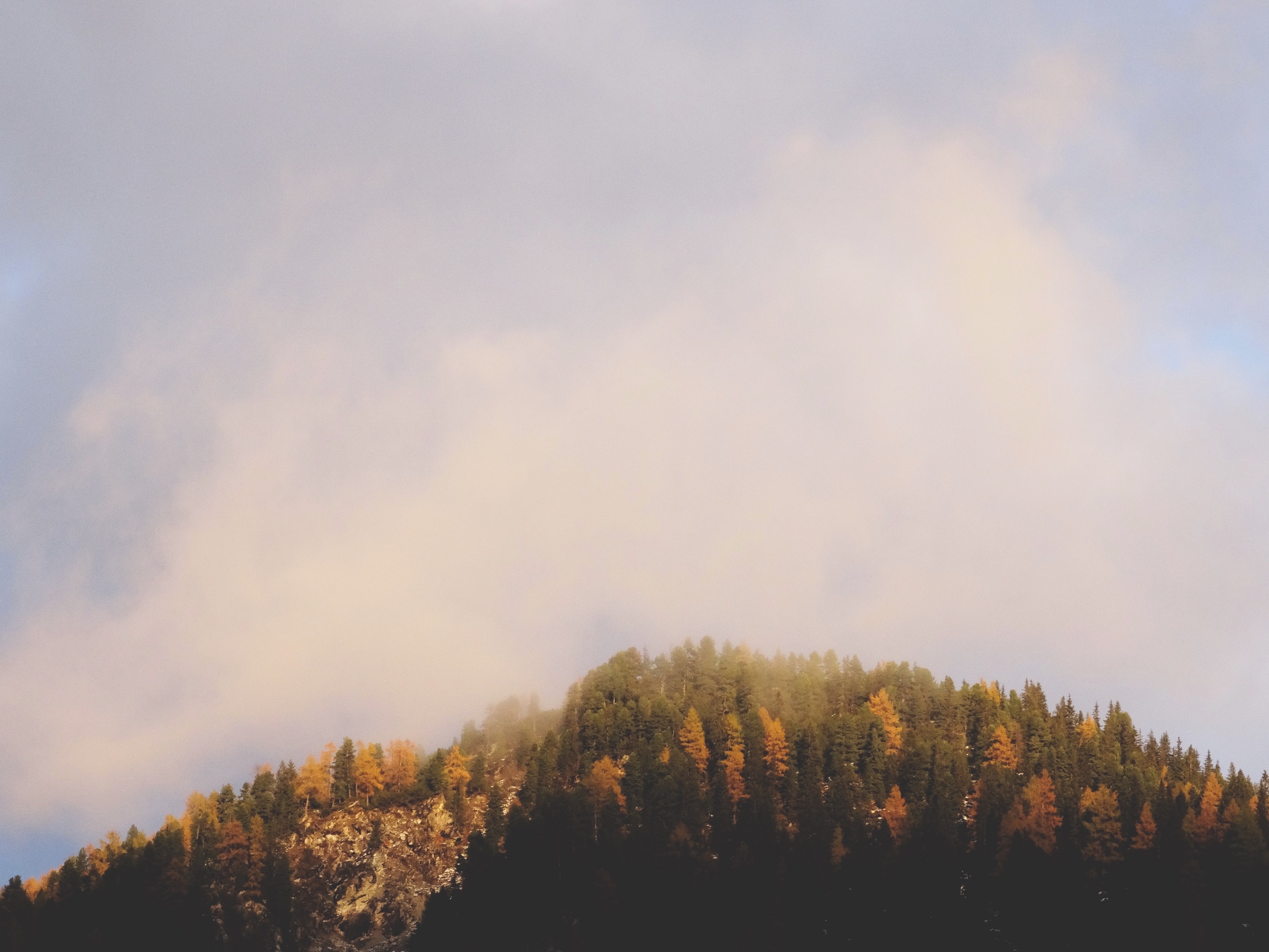 autumn landscape forest and cloudscape 4k, HD Wallpaper