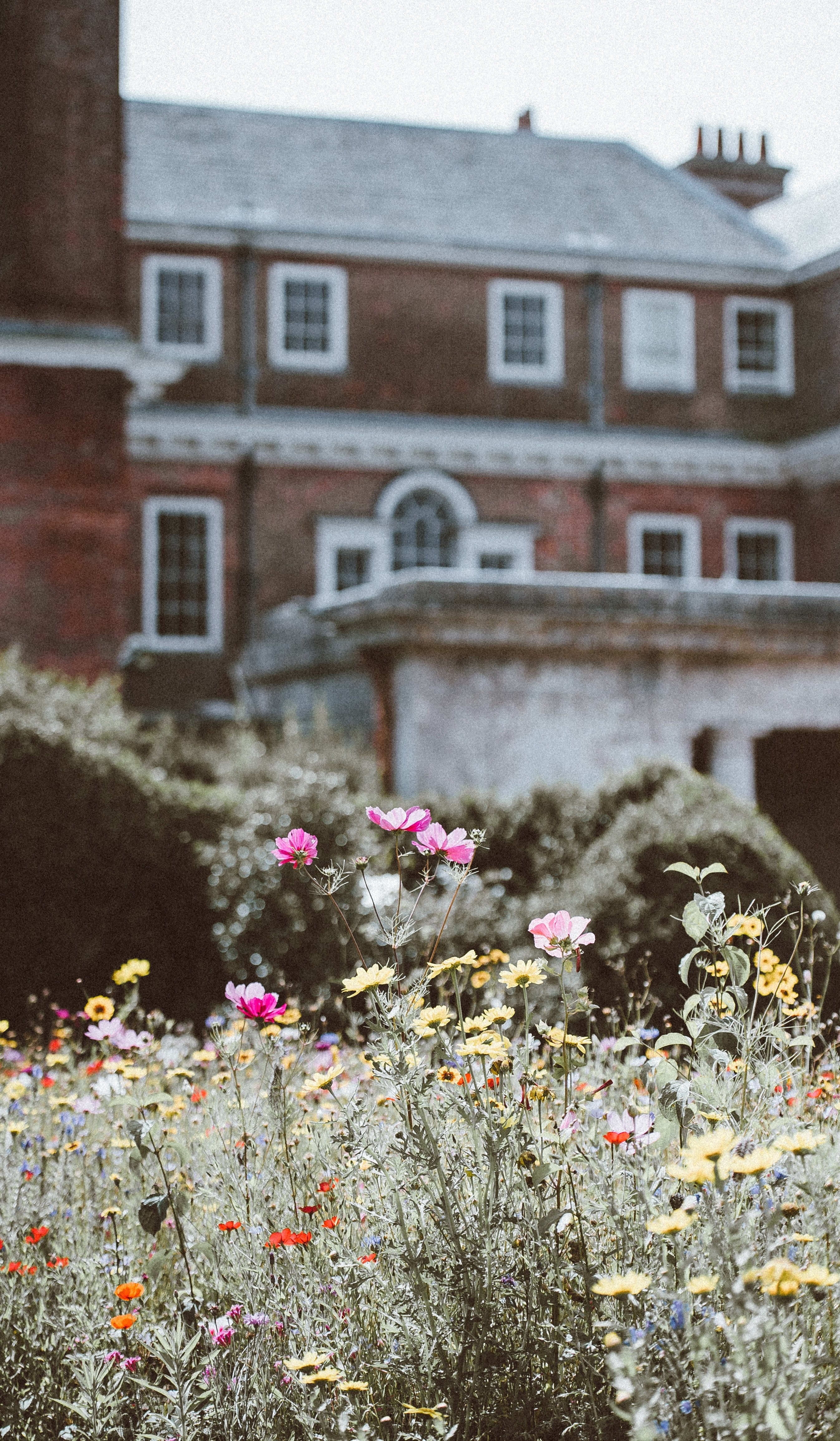 uppark house garden petersfield 4k, Phone HD Wallpaper