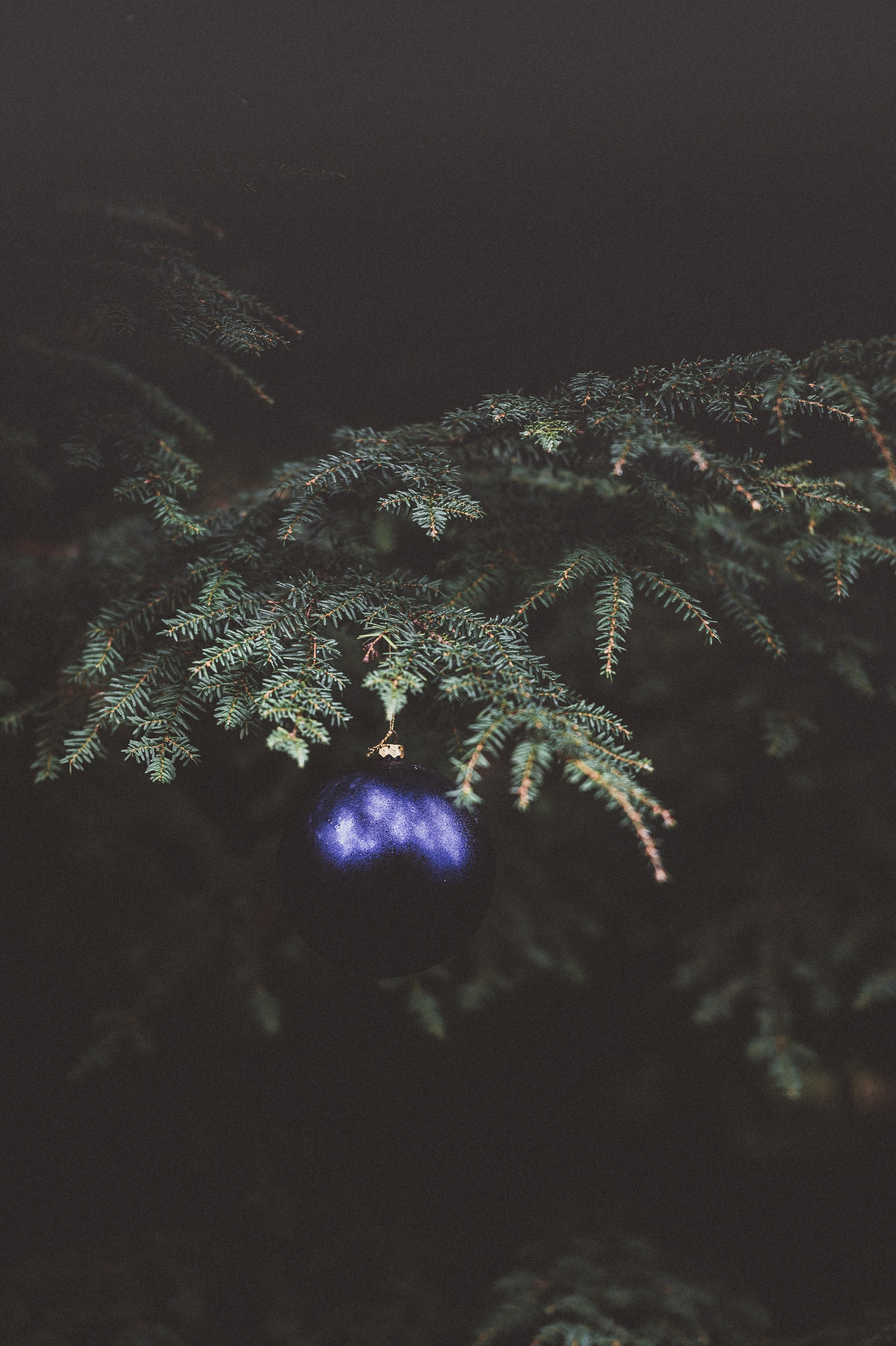 bauble on christmas tree 4k, Phone HD Wallpaper